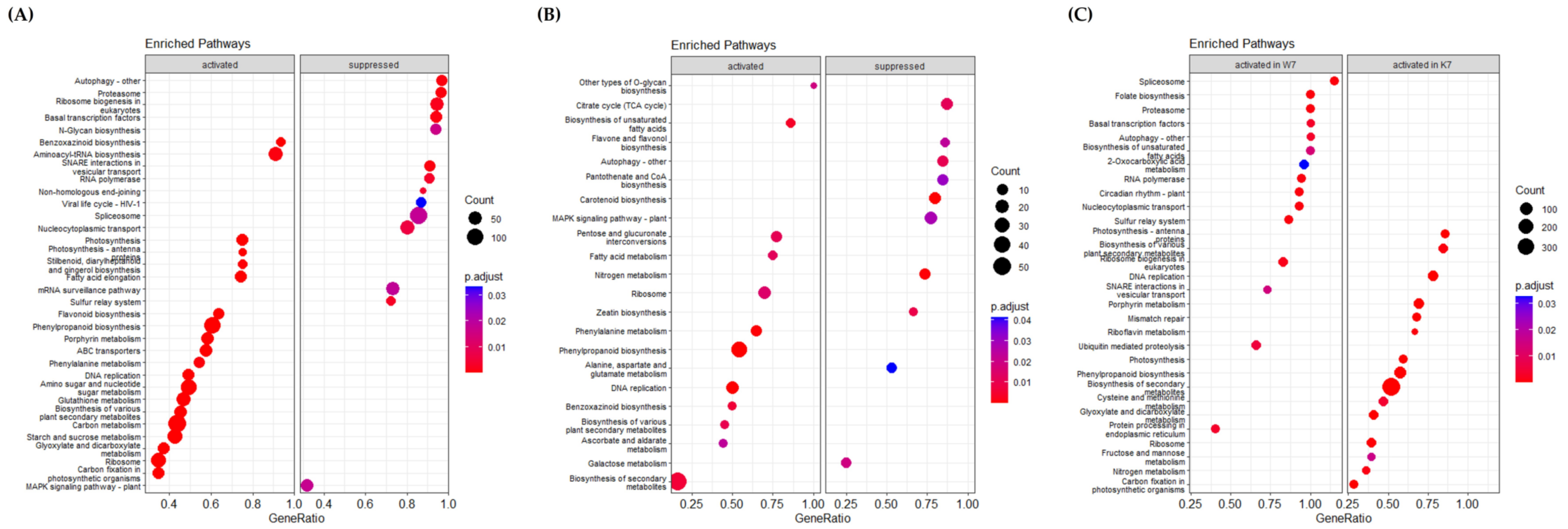 Plants 11 02807 g004 Plants 11 02807 g004