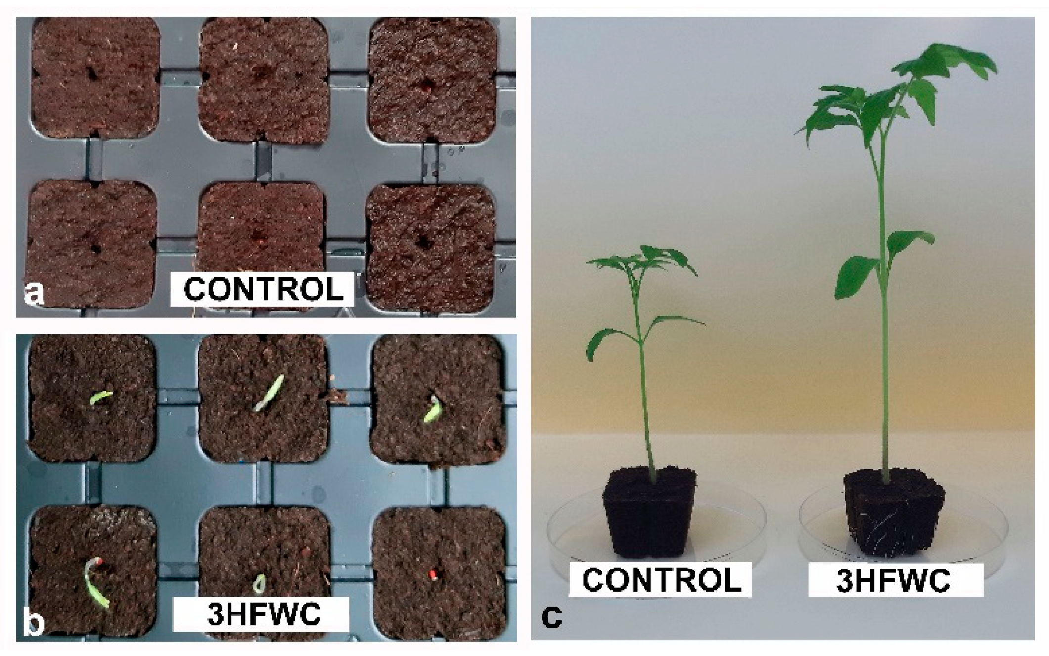 Plants 11 02810 g002