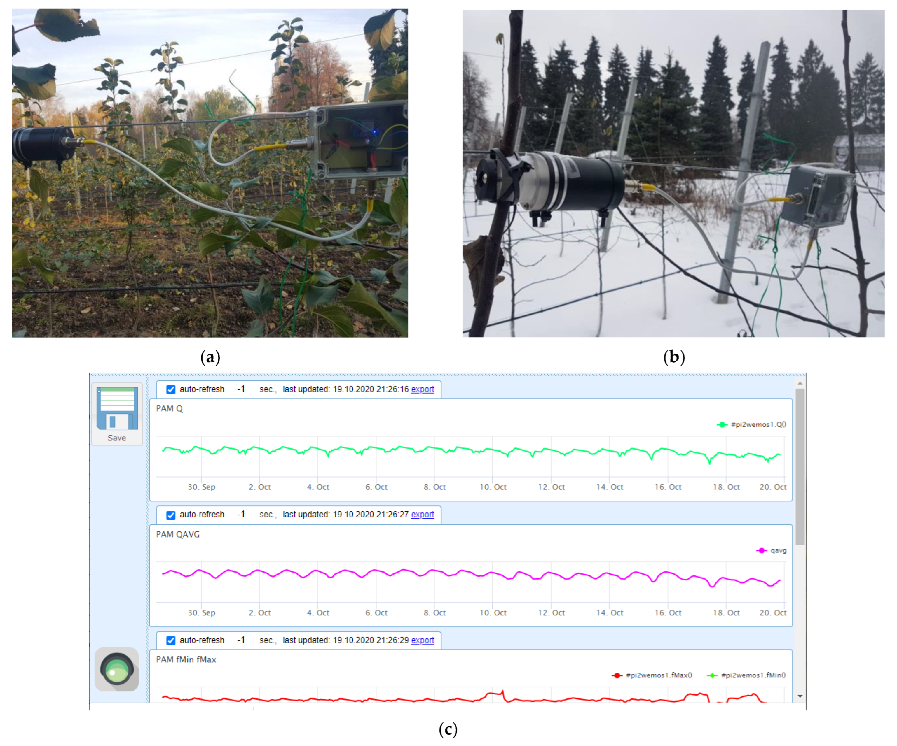 Plants 11 02811 g009