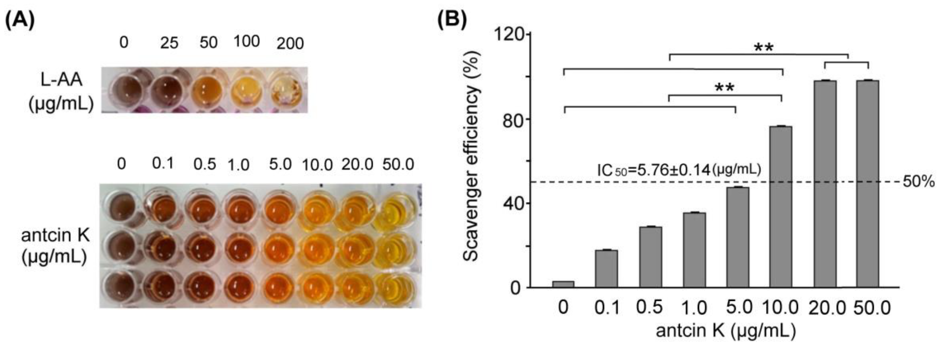 Plants 11 02812 g002 Plants 11 02812 g002