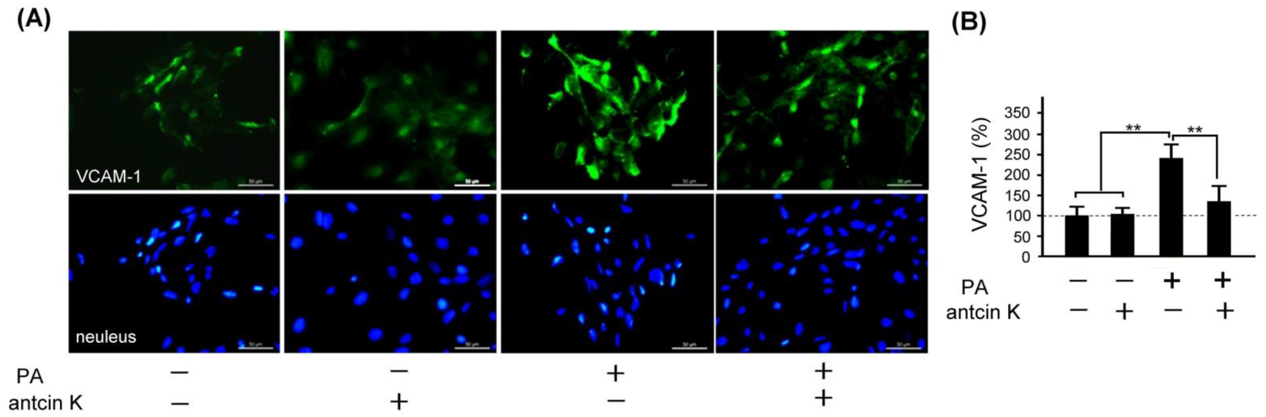 Plants 11 02812 g006 Plants 11 02812 g006