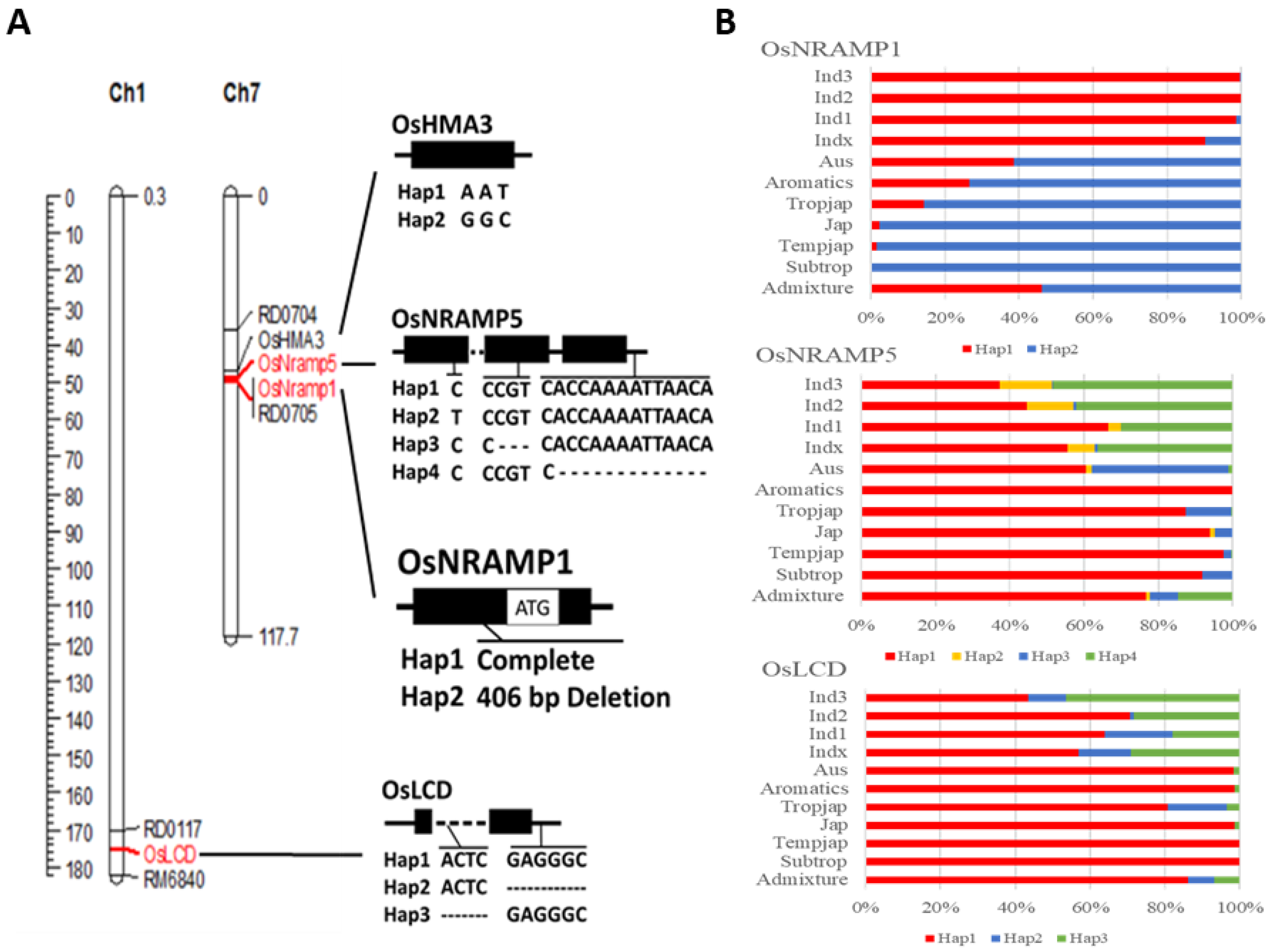 Plants 11 02813 g001 Plants 11 02813 g001