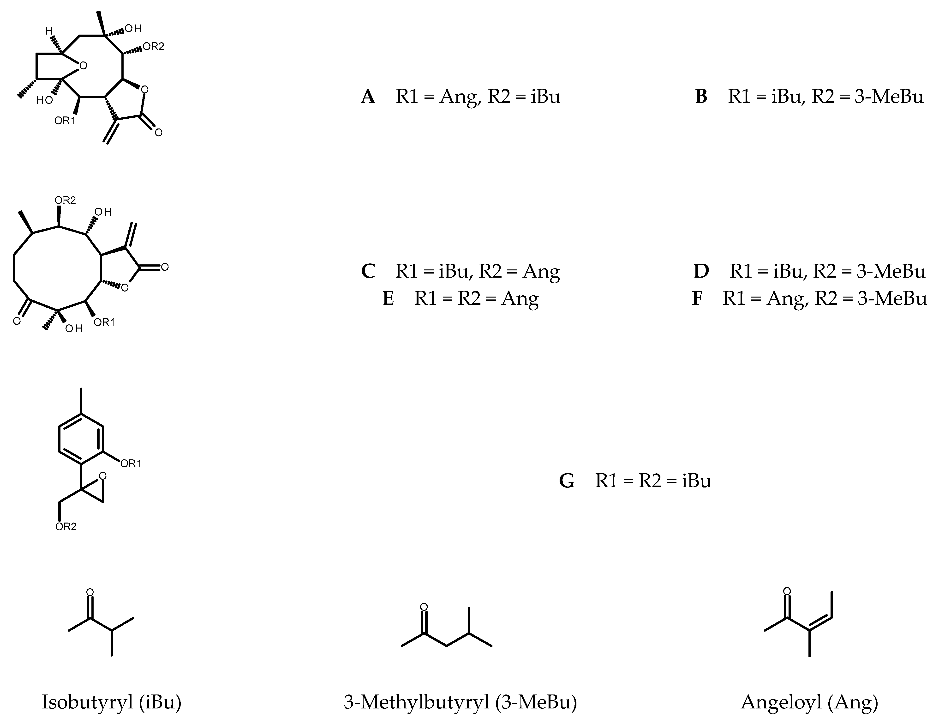 Plants 11 02815 g001
