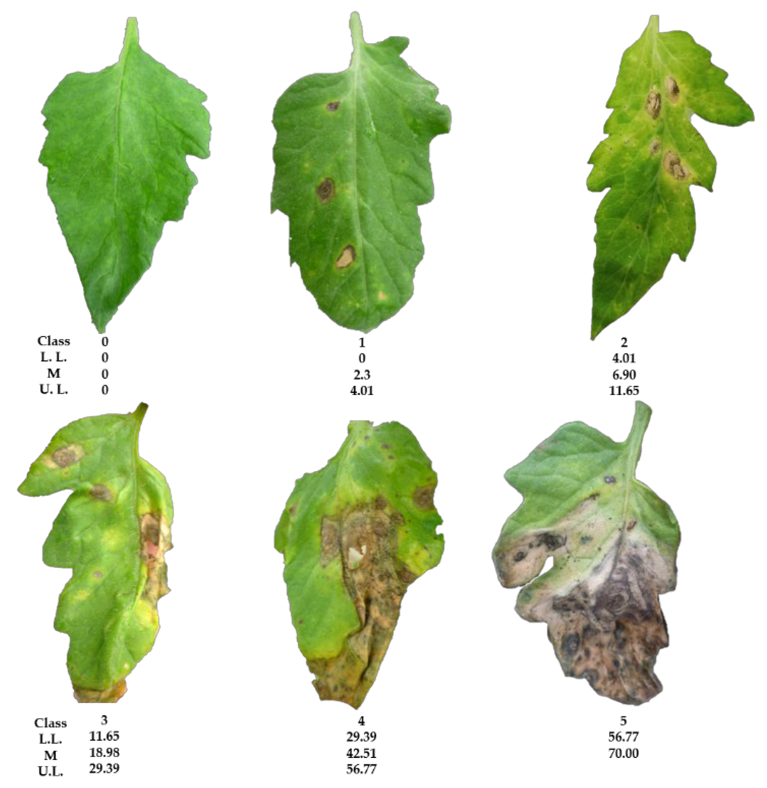 Plants 11 02821 g004