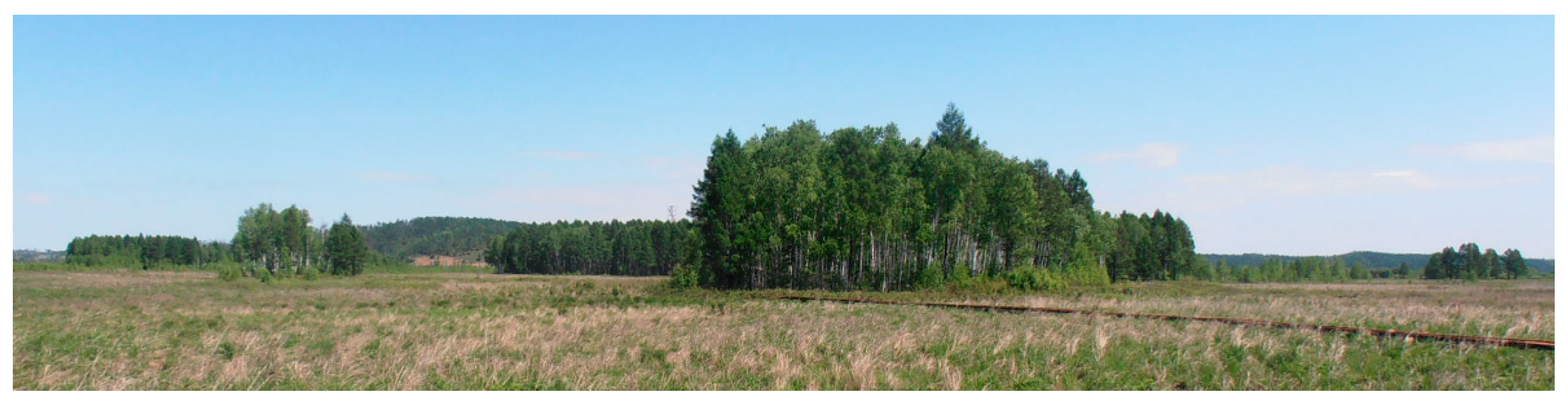 Spatial and Temporal Variability and Driving Factors of