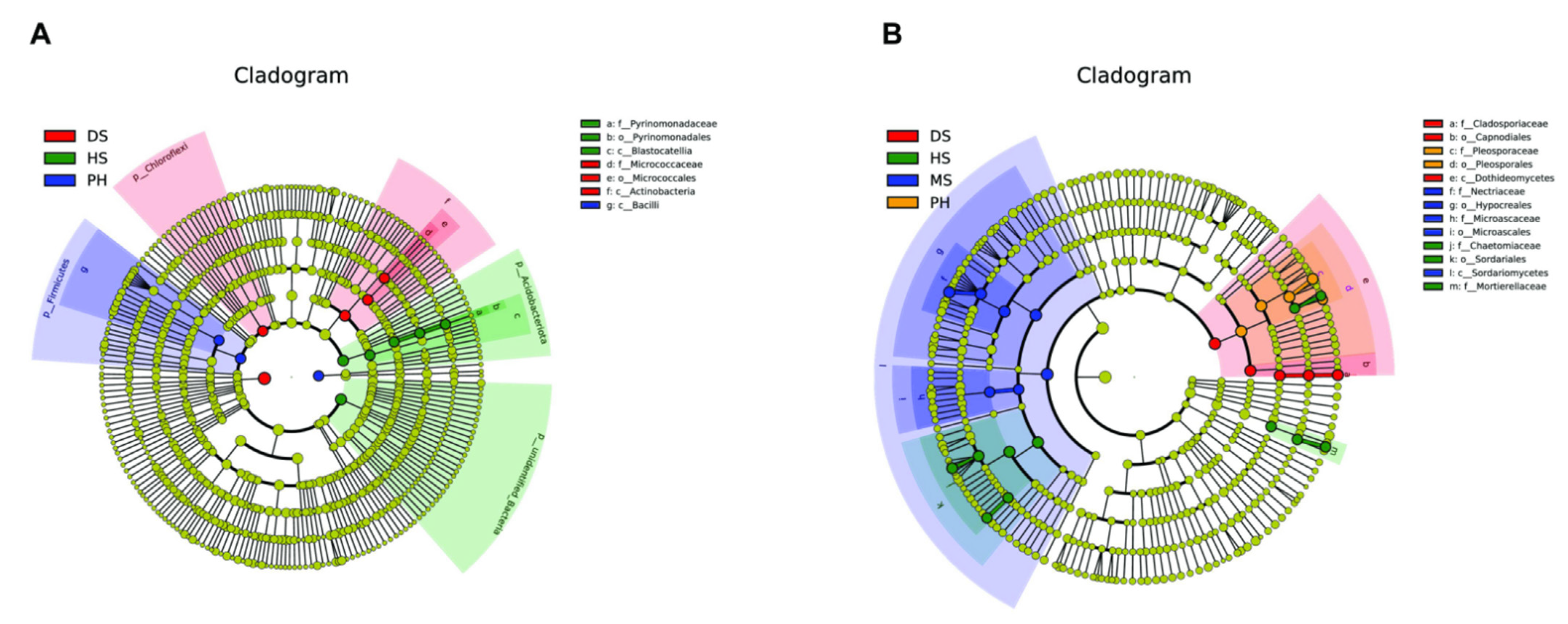 Plants 11 02824 g006 Plants 11 02824 g006