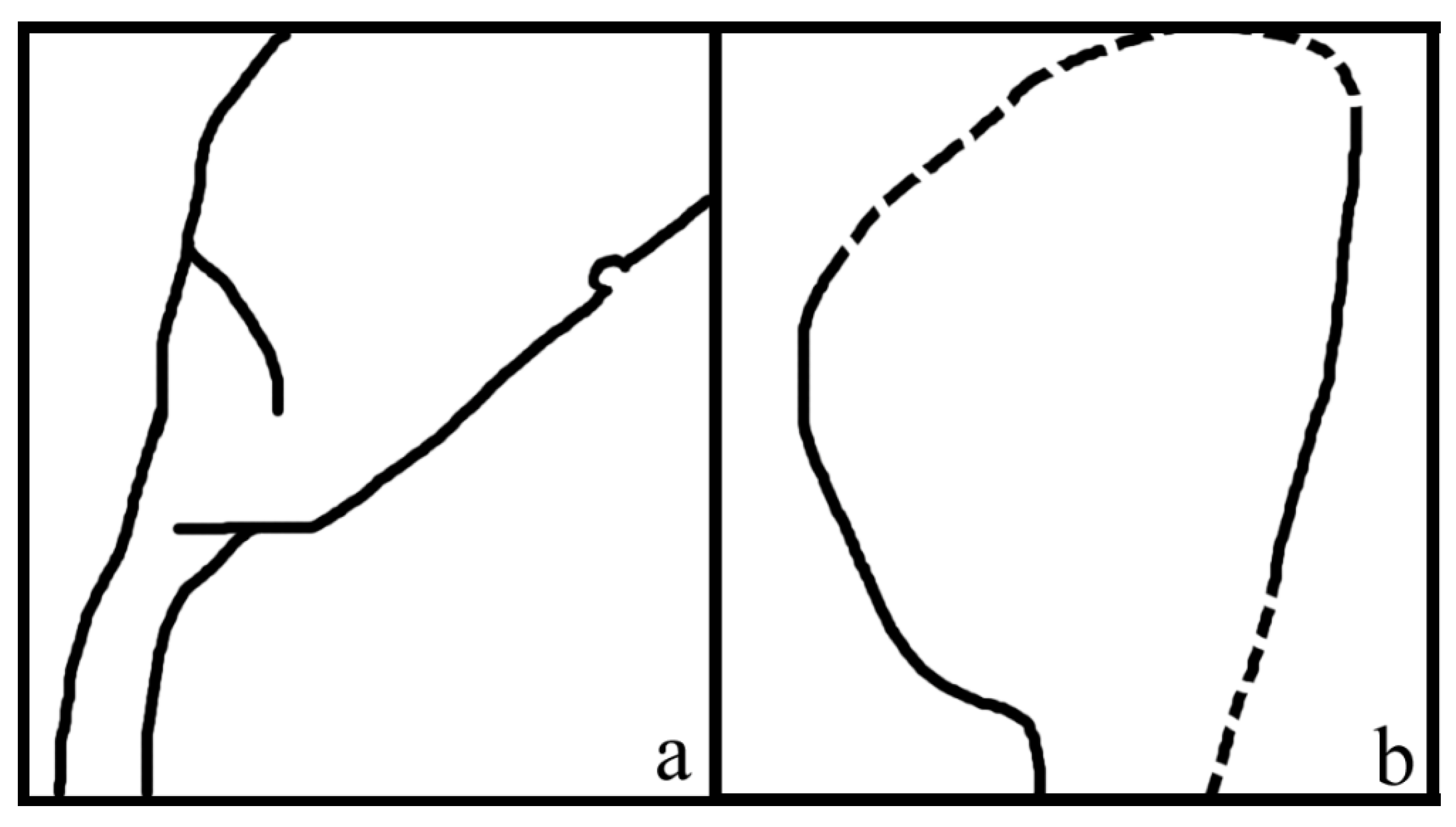 Plants 11 02833 g003