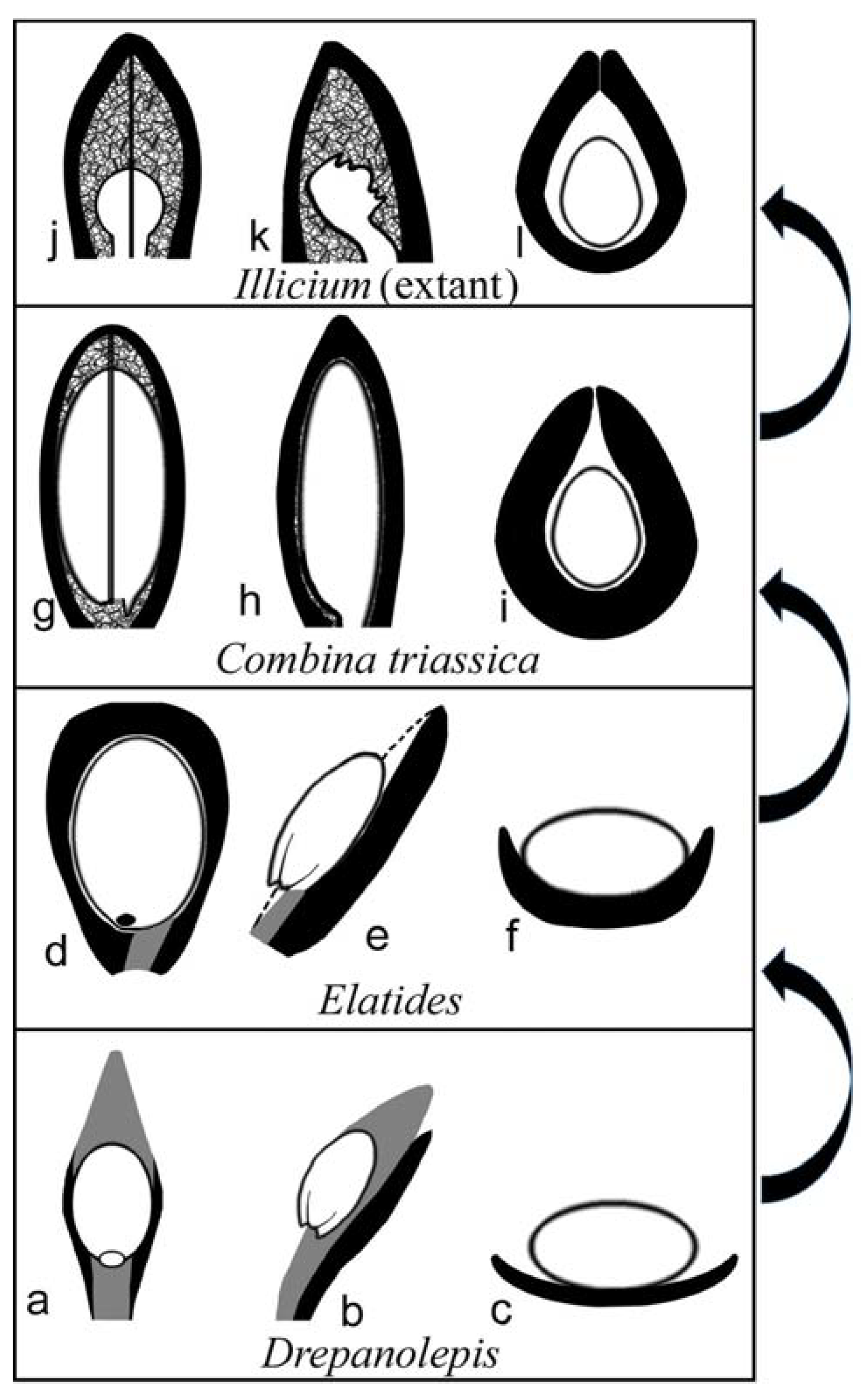 Plants 11 02833 g004