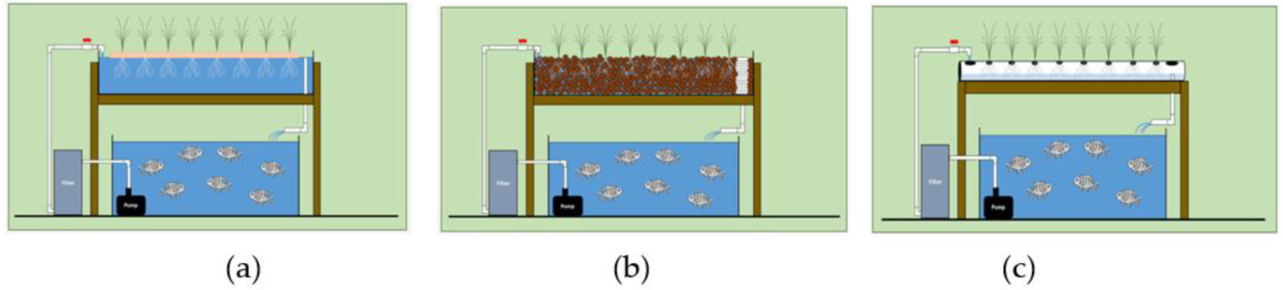 Plants 11 02843 g002 Plants 11 02843 g002
