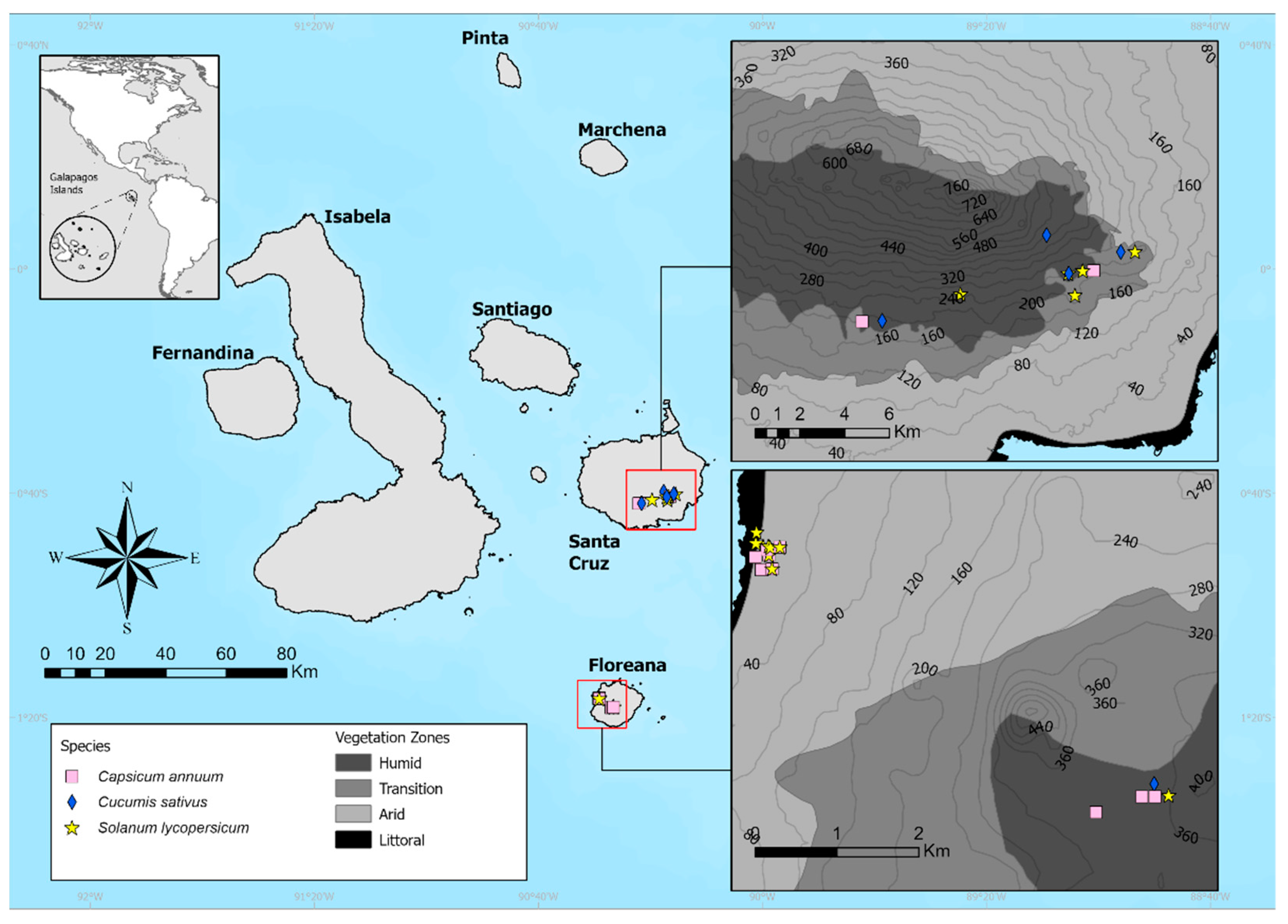 Plants 11 02848 g006 Plants 11 02848 g006