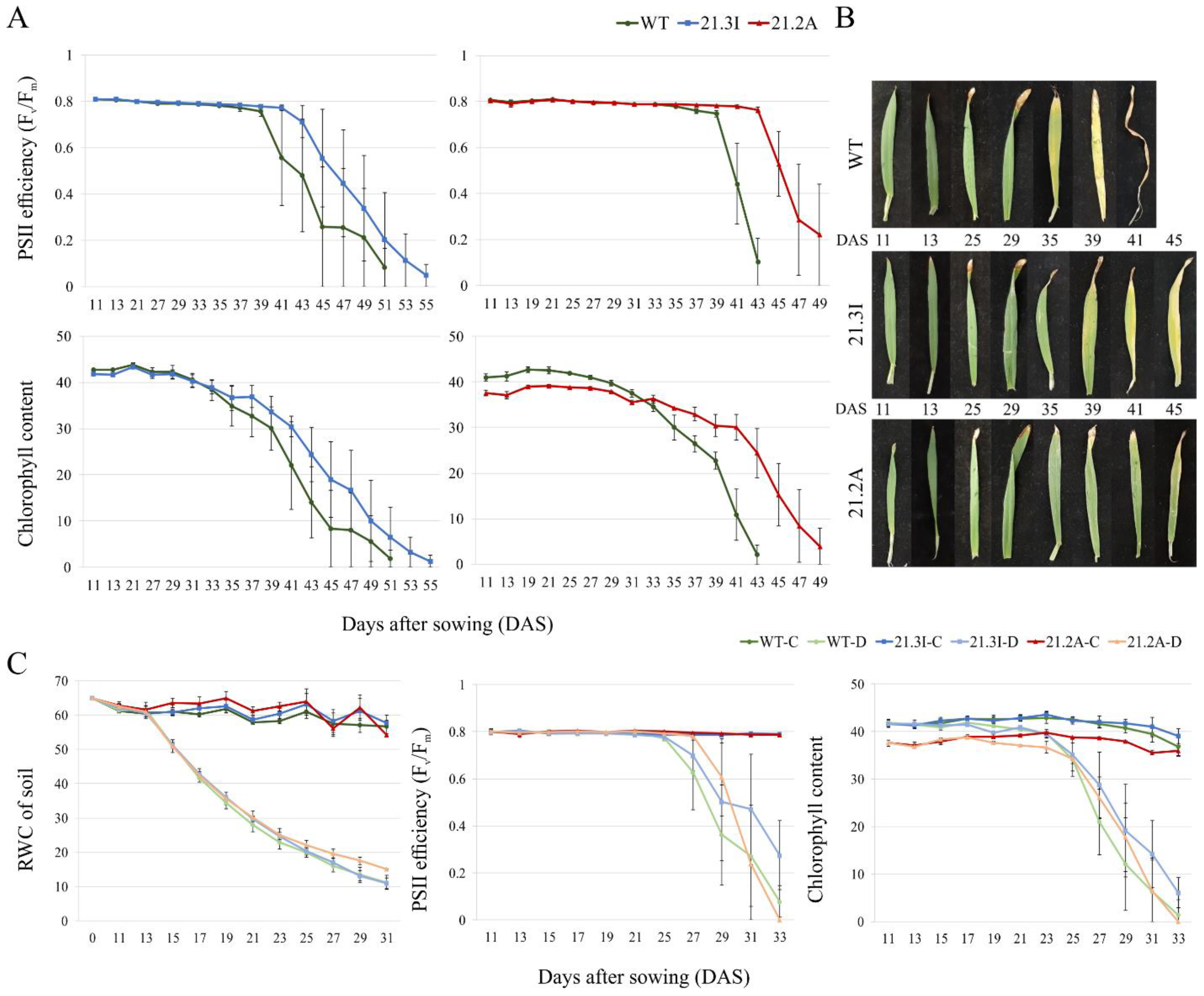 Plants 11 02851 g002 Plants 11 02851 g002