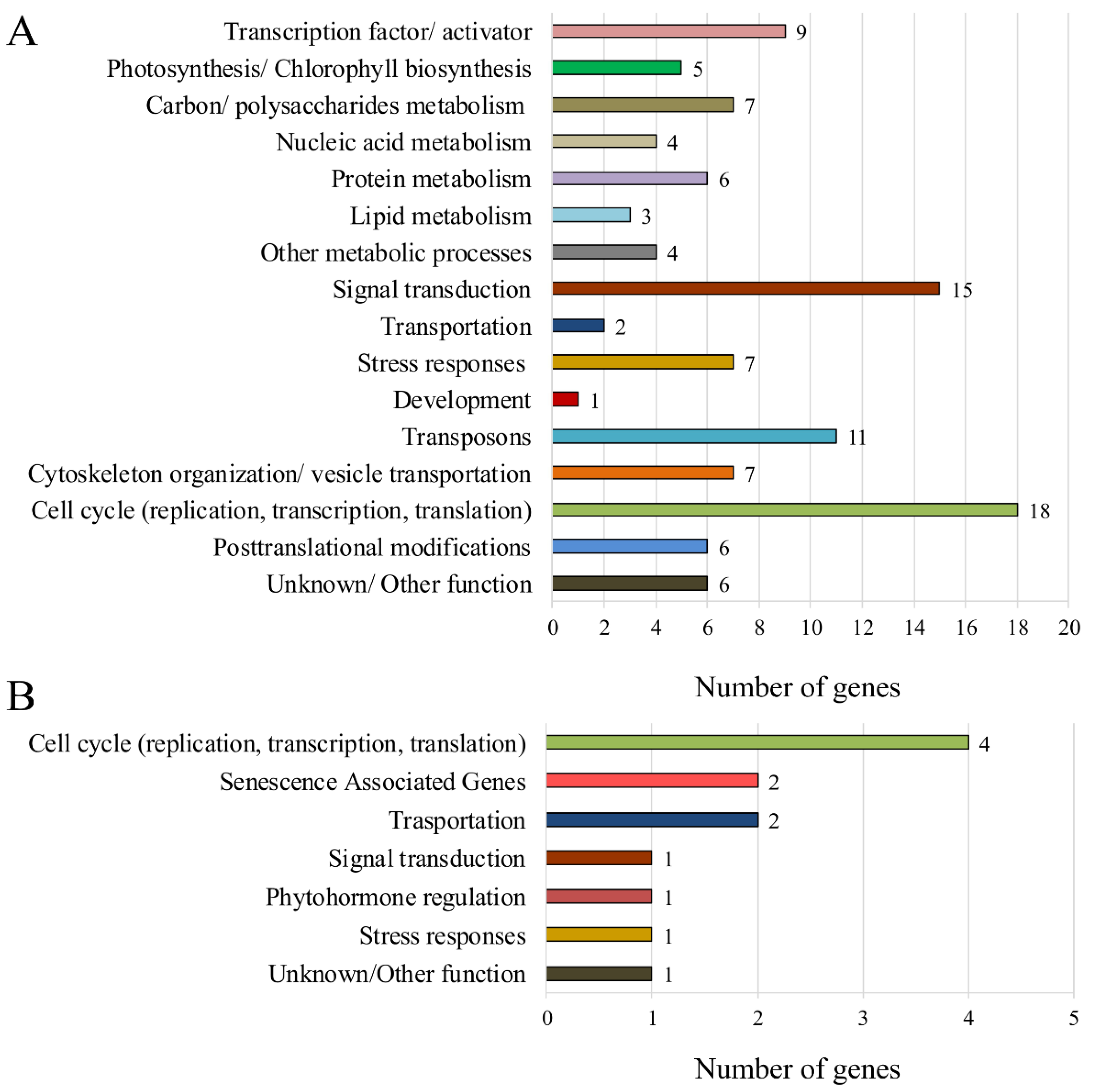 Plants 11 02851 g005 Plants 11 02851 g005