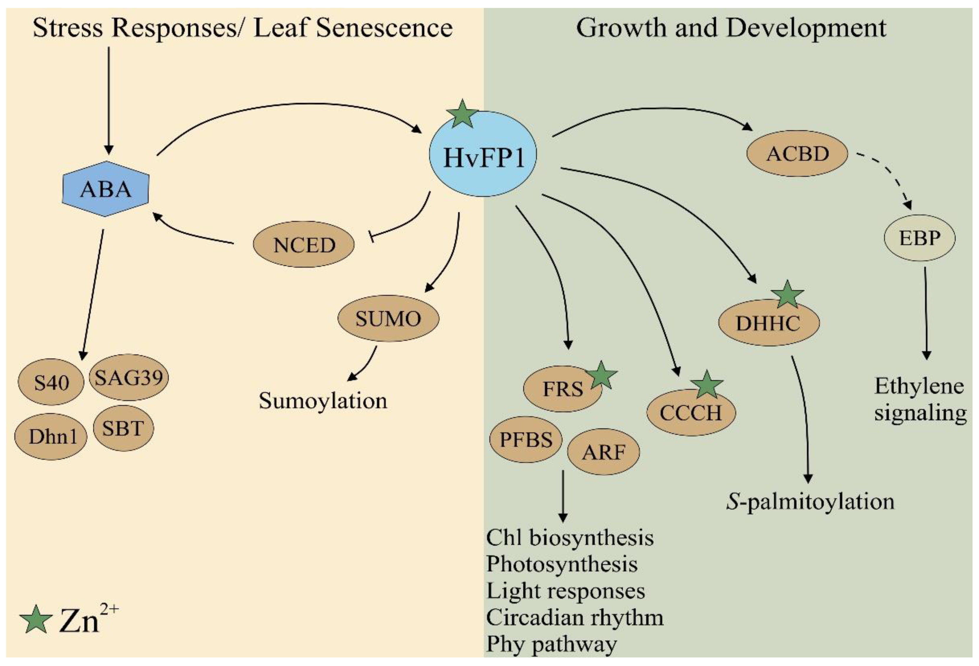 Plants 11 02851 g007 Plants 11 02851 g007