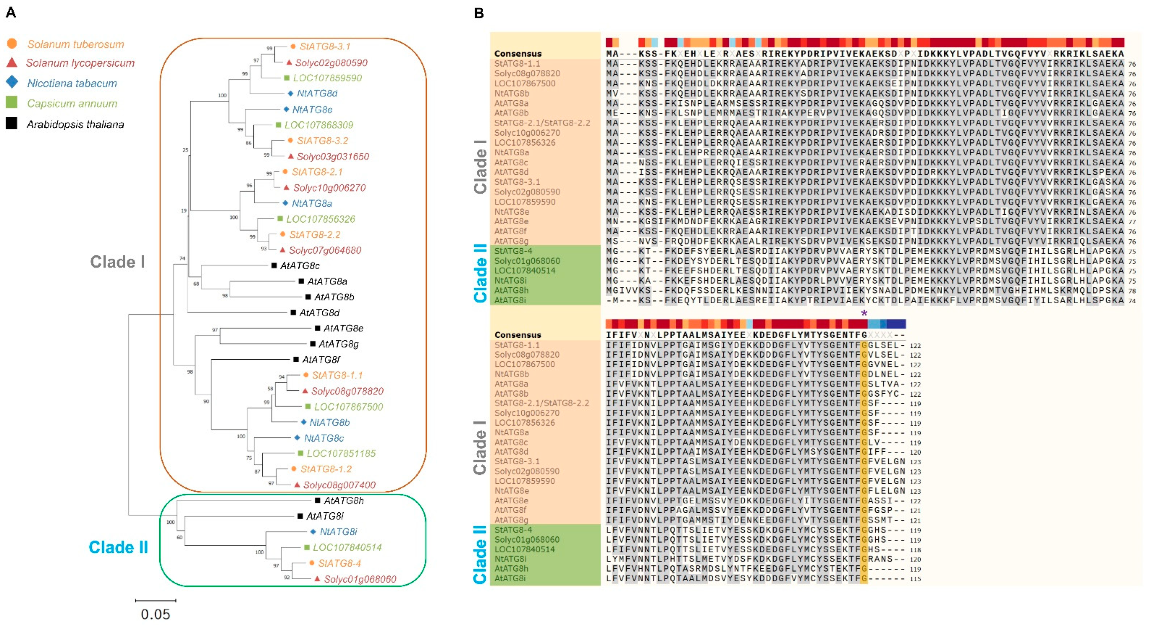 Plants 11 02858 g001