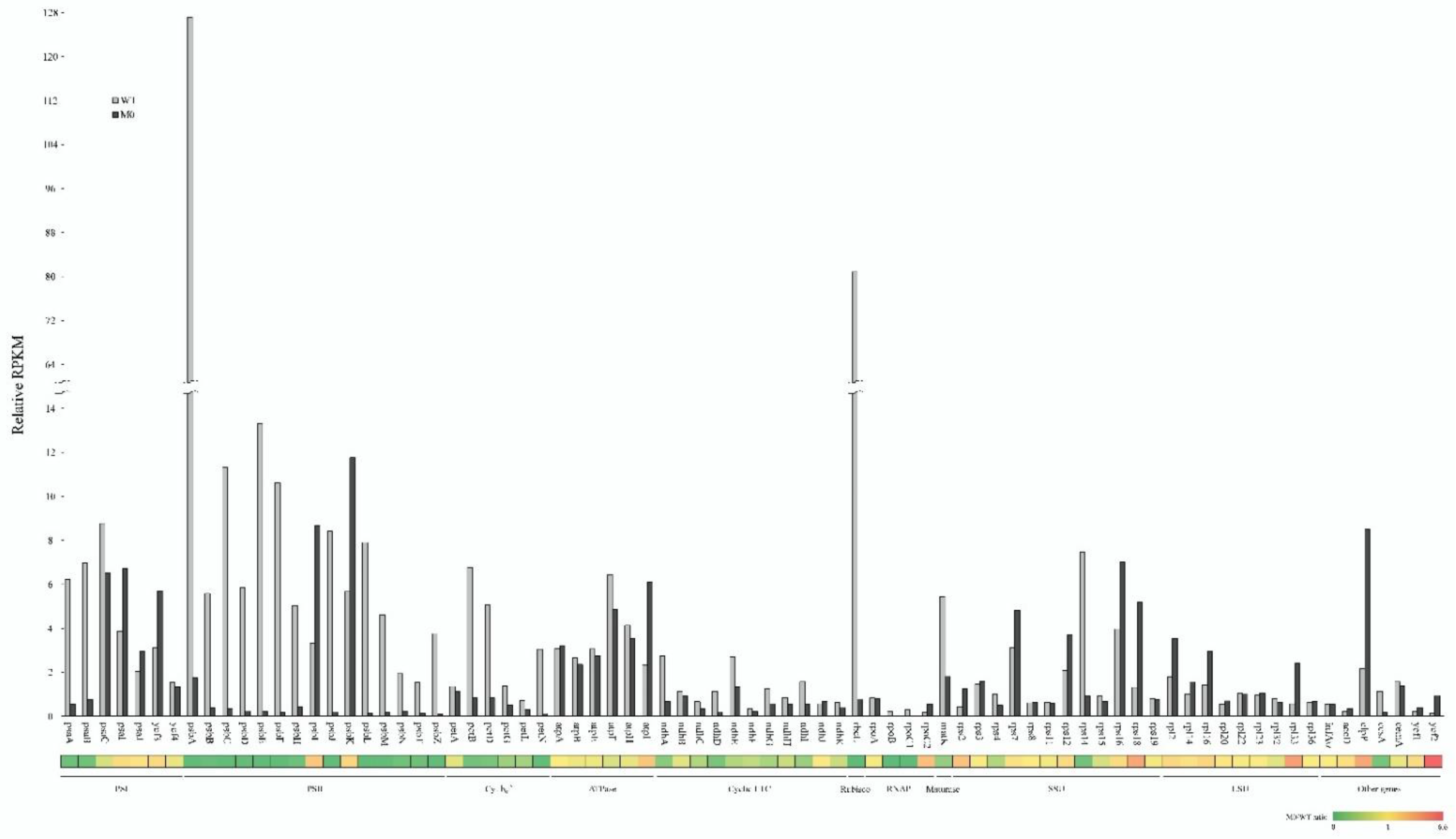 Plants 11 02860 g001