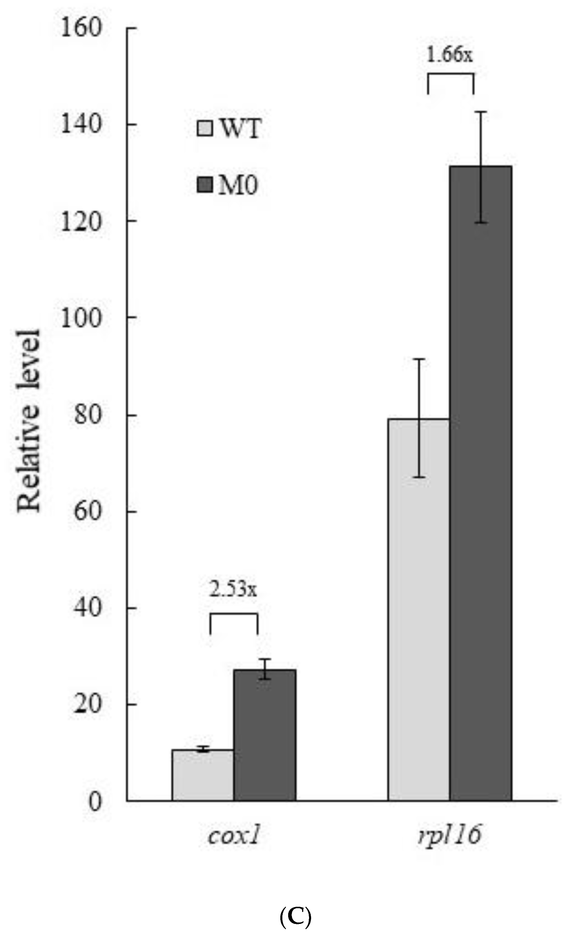 Plants 11 02860 g002b