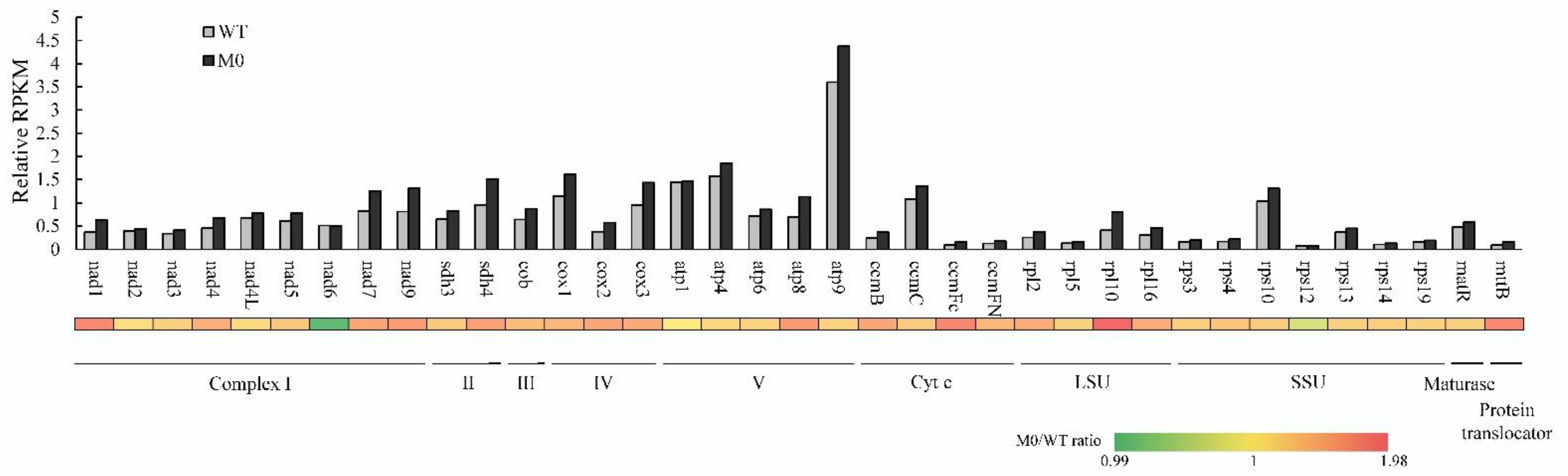 Plants 11 02860 g003