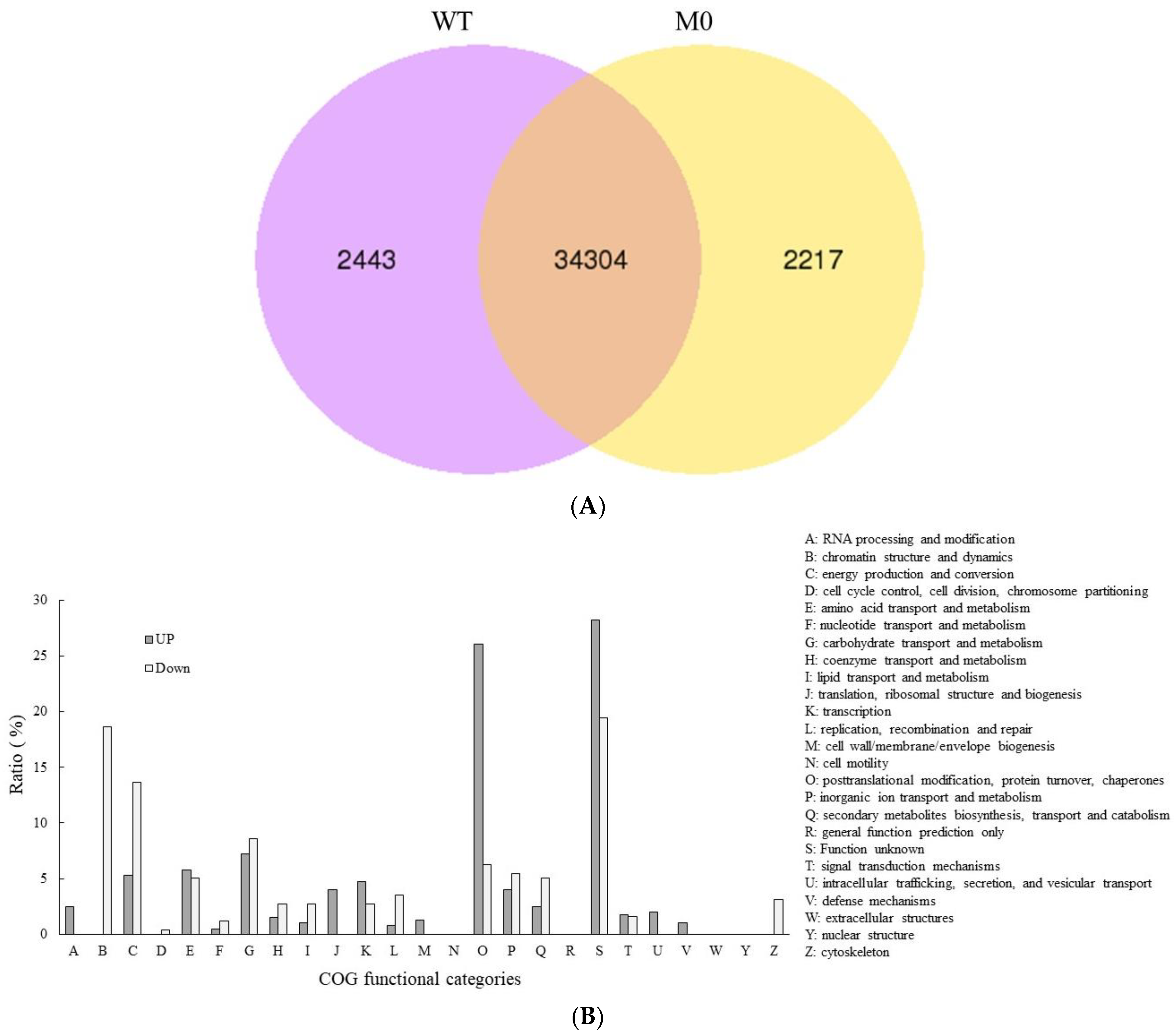 Plants 11 02860 g004