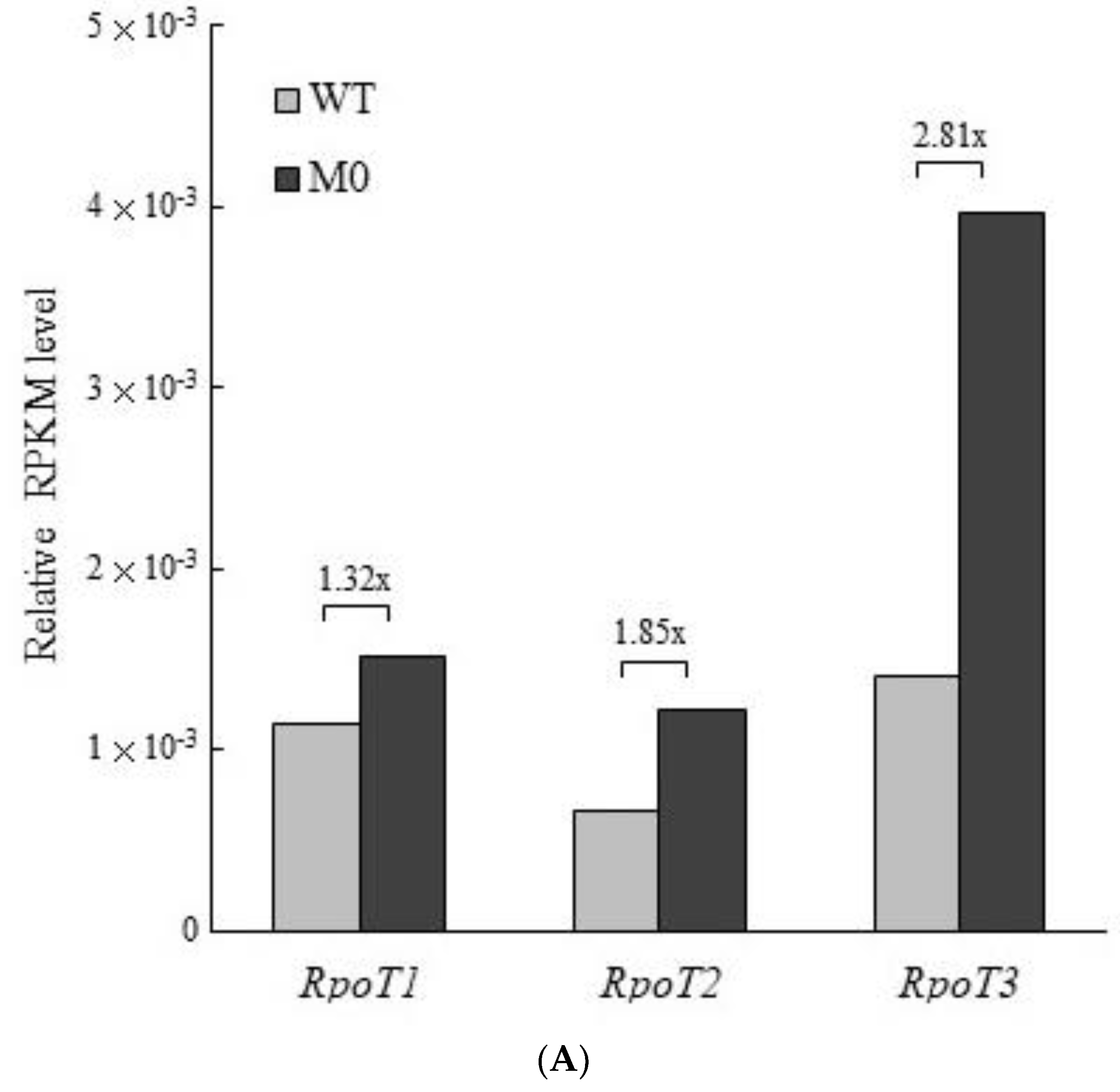 Plants 11 02860 g005a