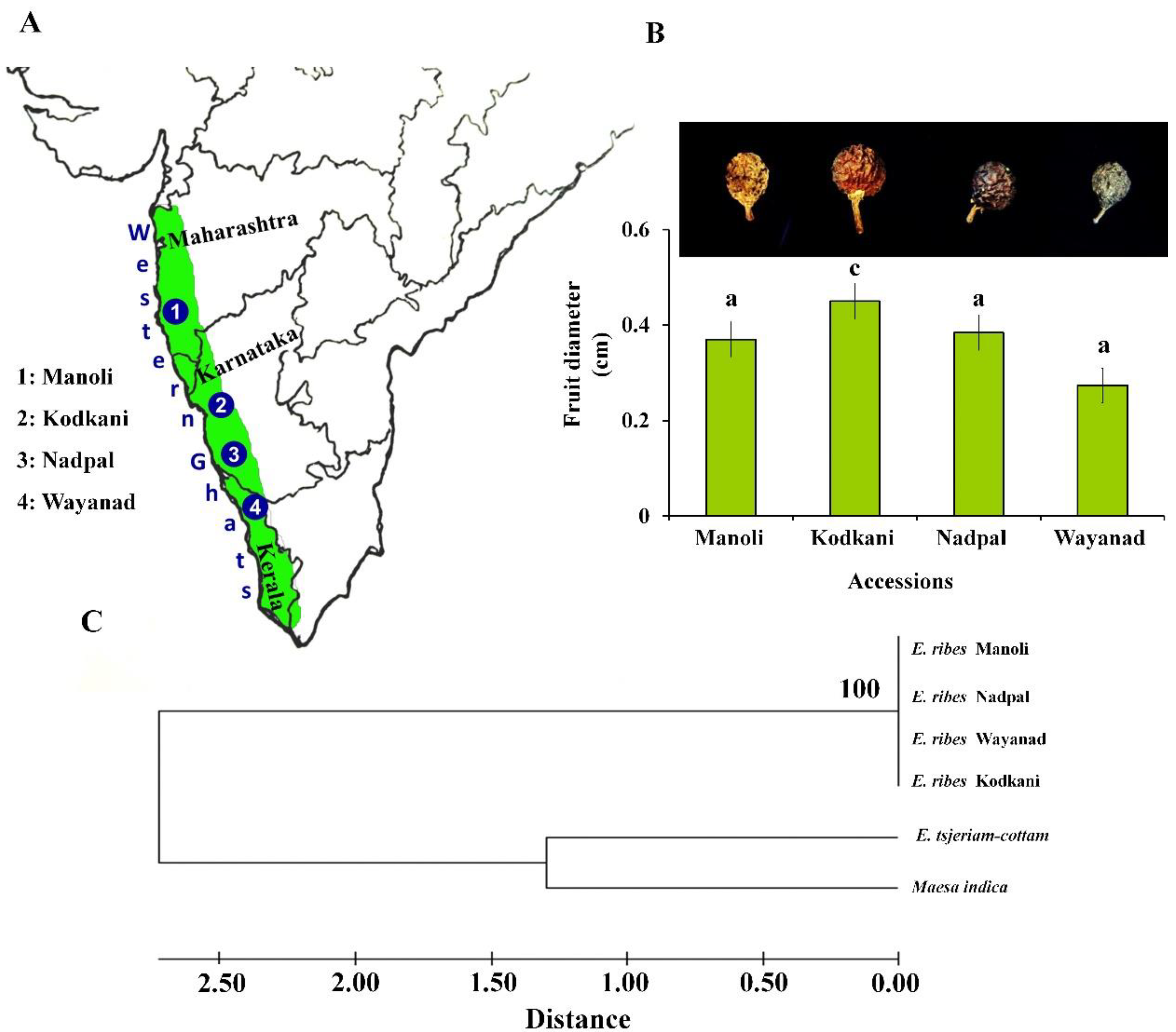 Plants 11 02861 g001