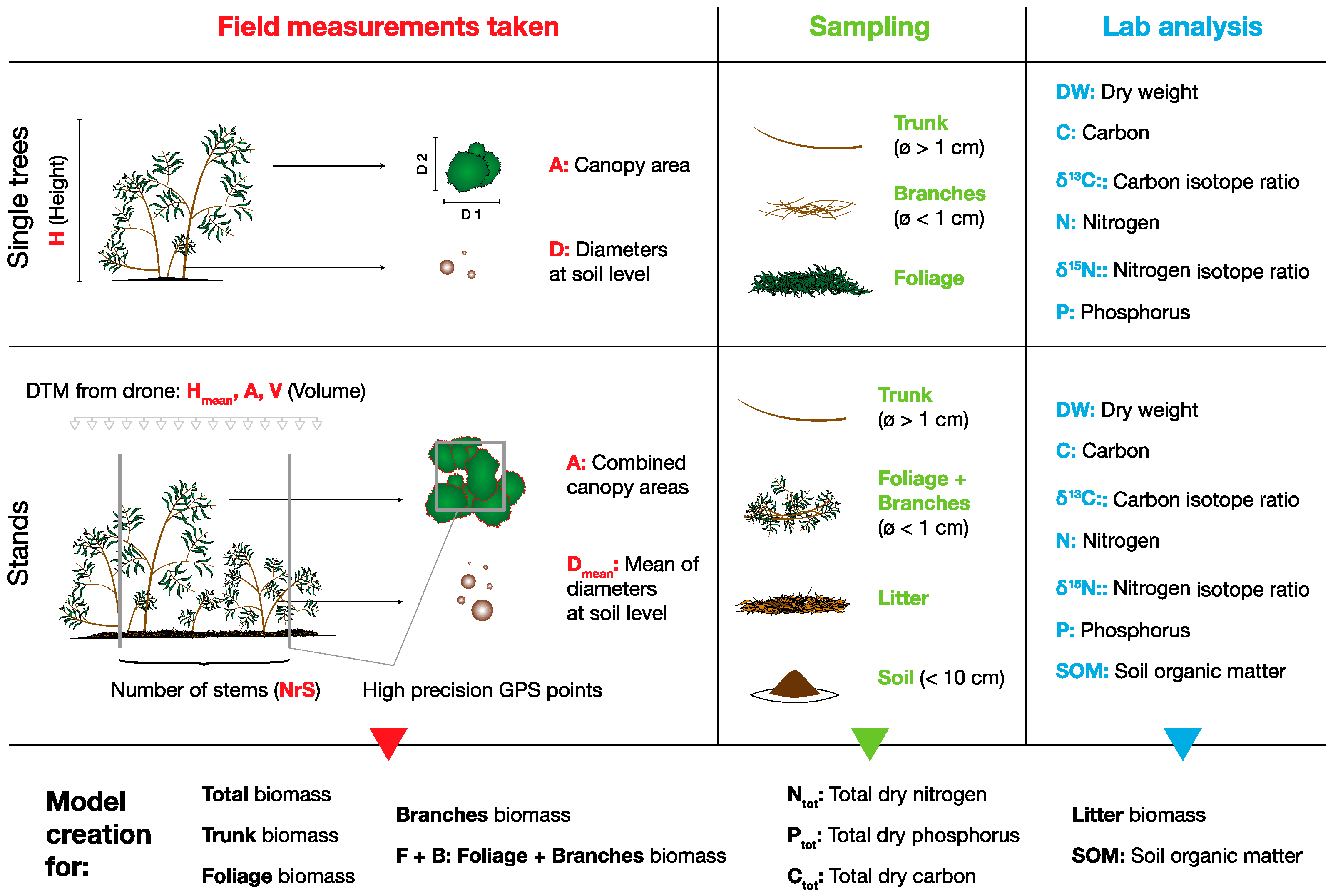 Plants 11 02865 g004 Plants 11 02865 g004