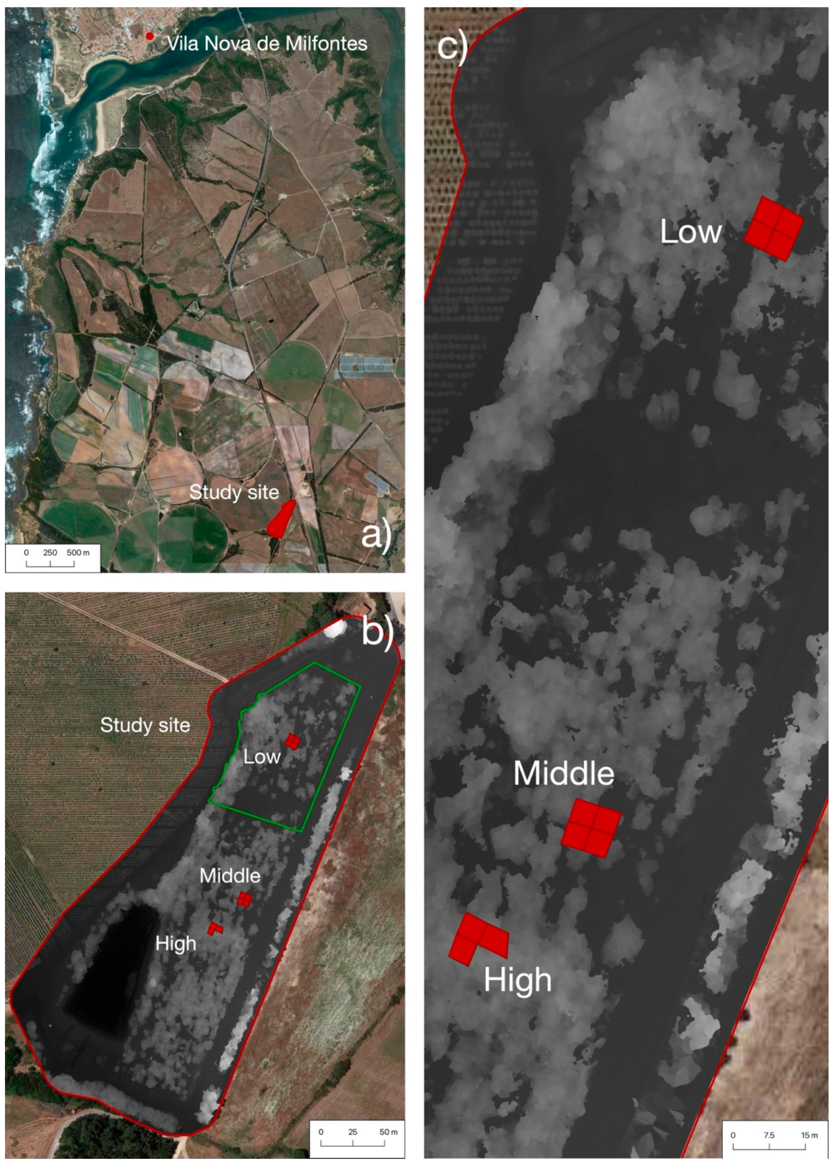 Plants 11 02865 g005 Plants 11 02865 g005