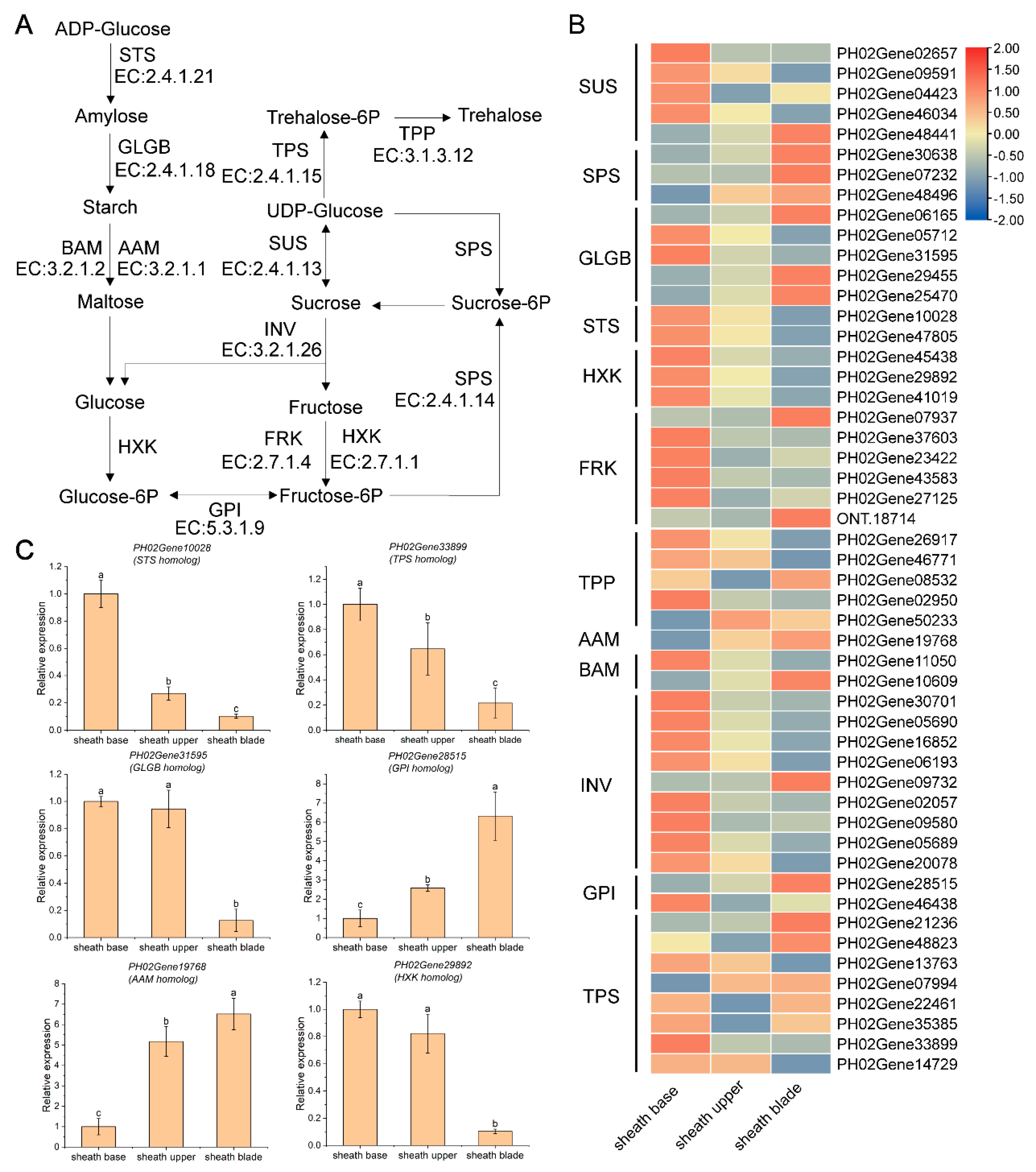 Plants 11 02866 g007