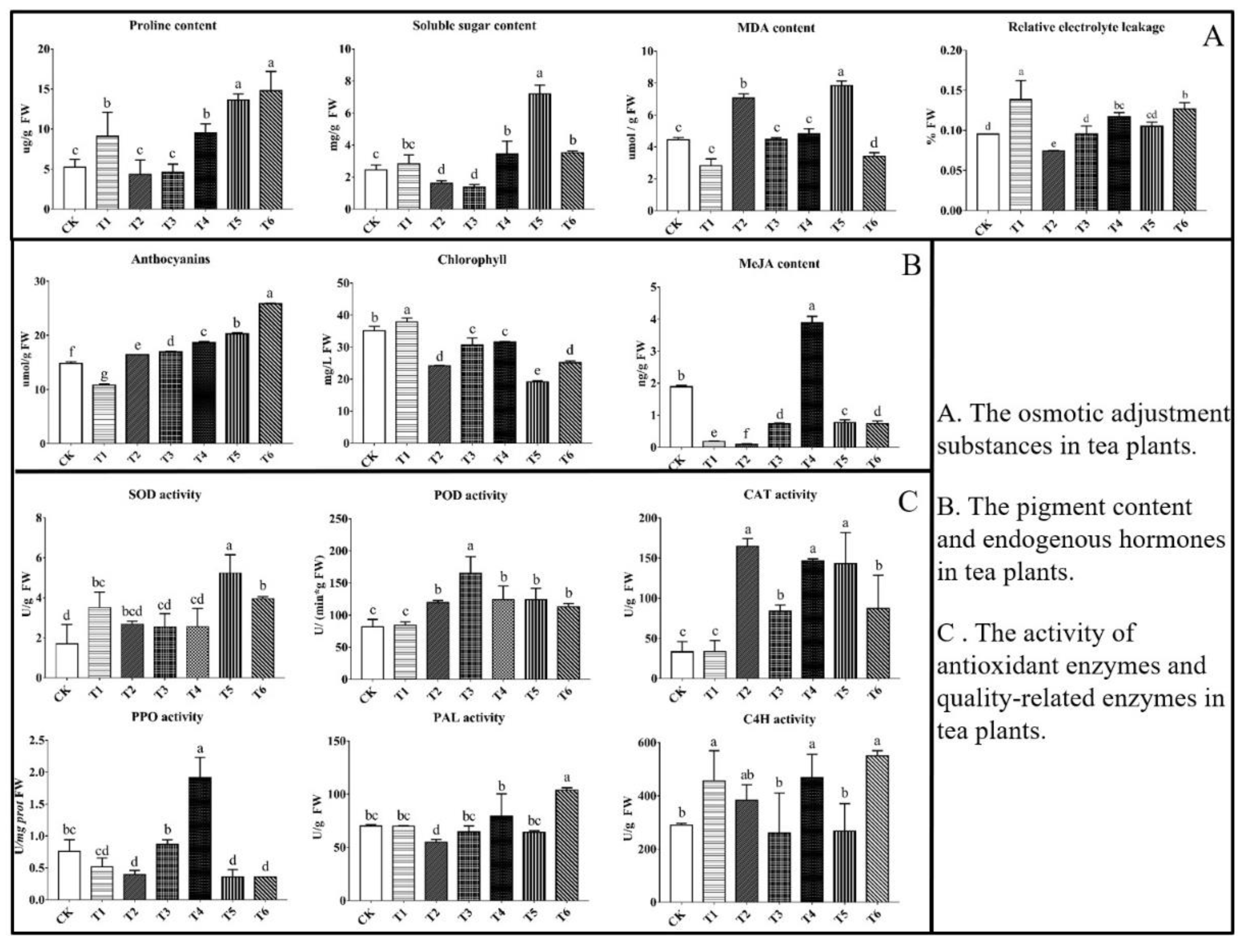 Plants 11 02869 g001