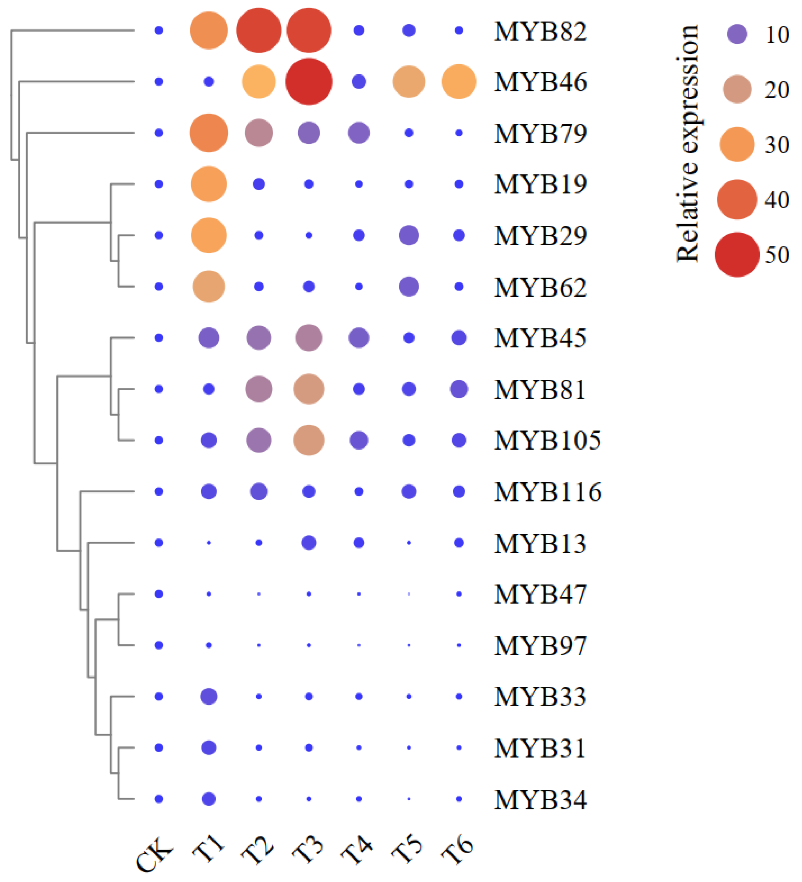 Plants 11 02869 g002