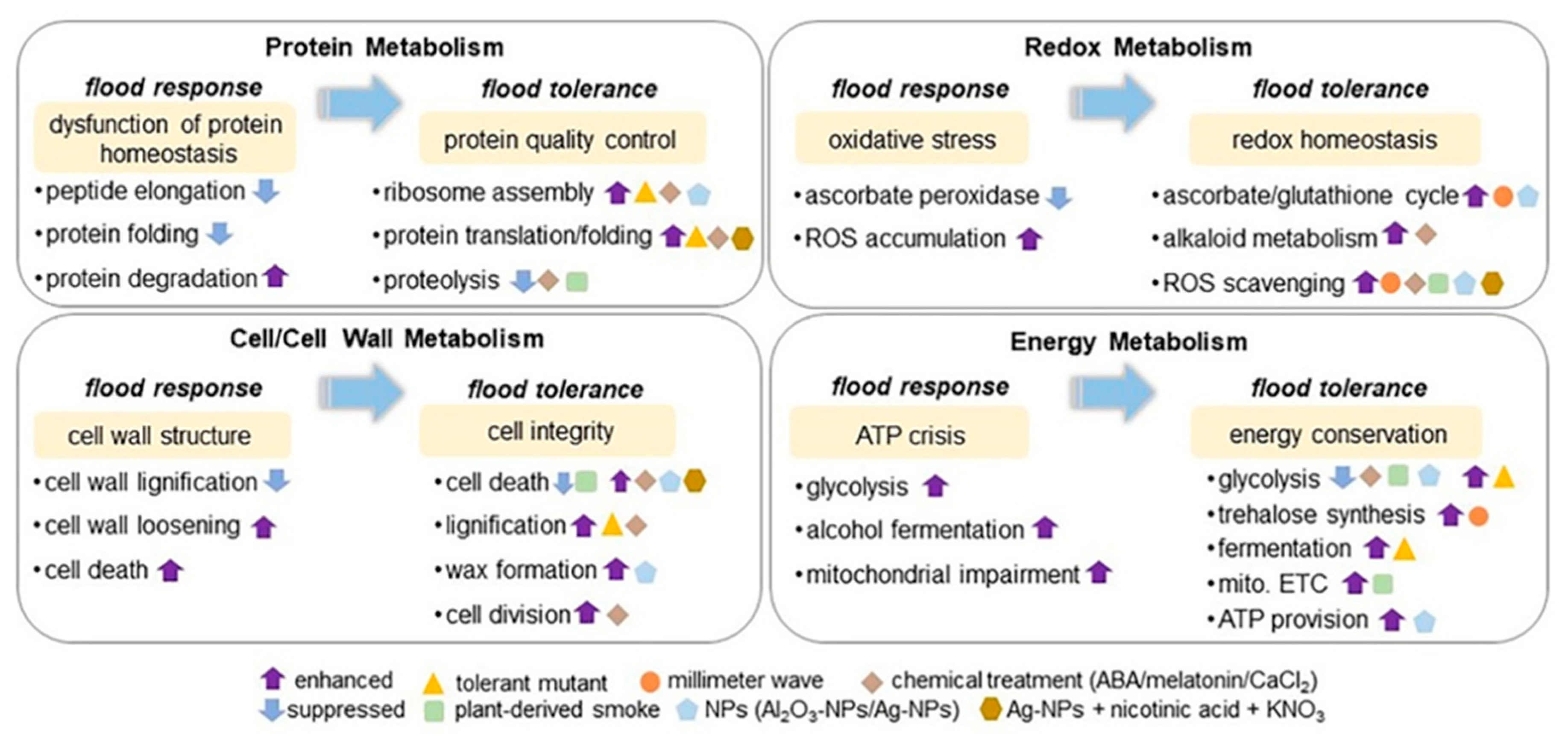 Plants 11 02877 g002