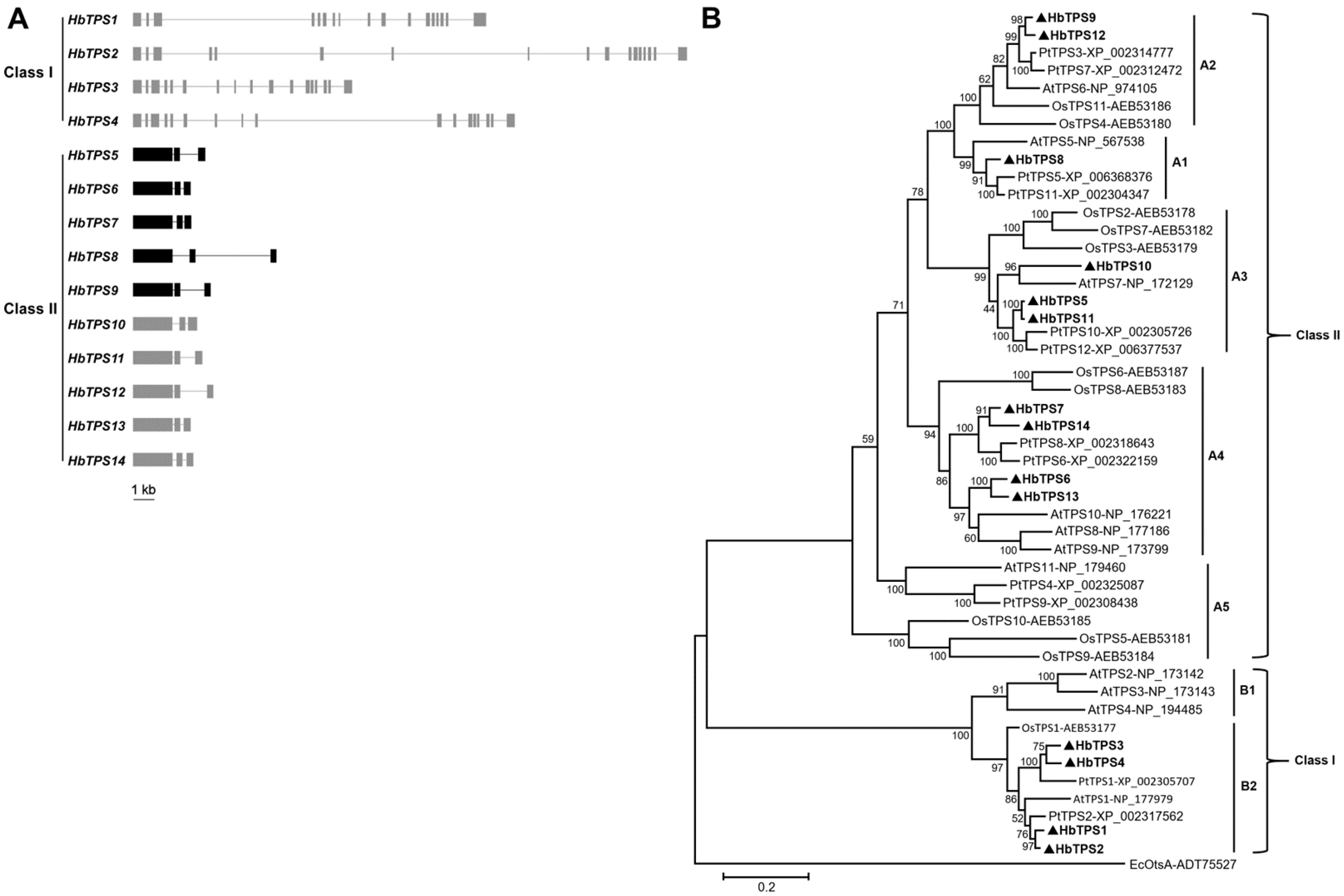 Plants 11 02879 g001 Plants 11 02879 g001