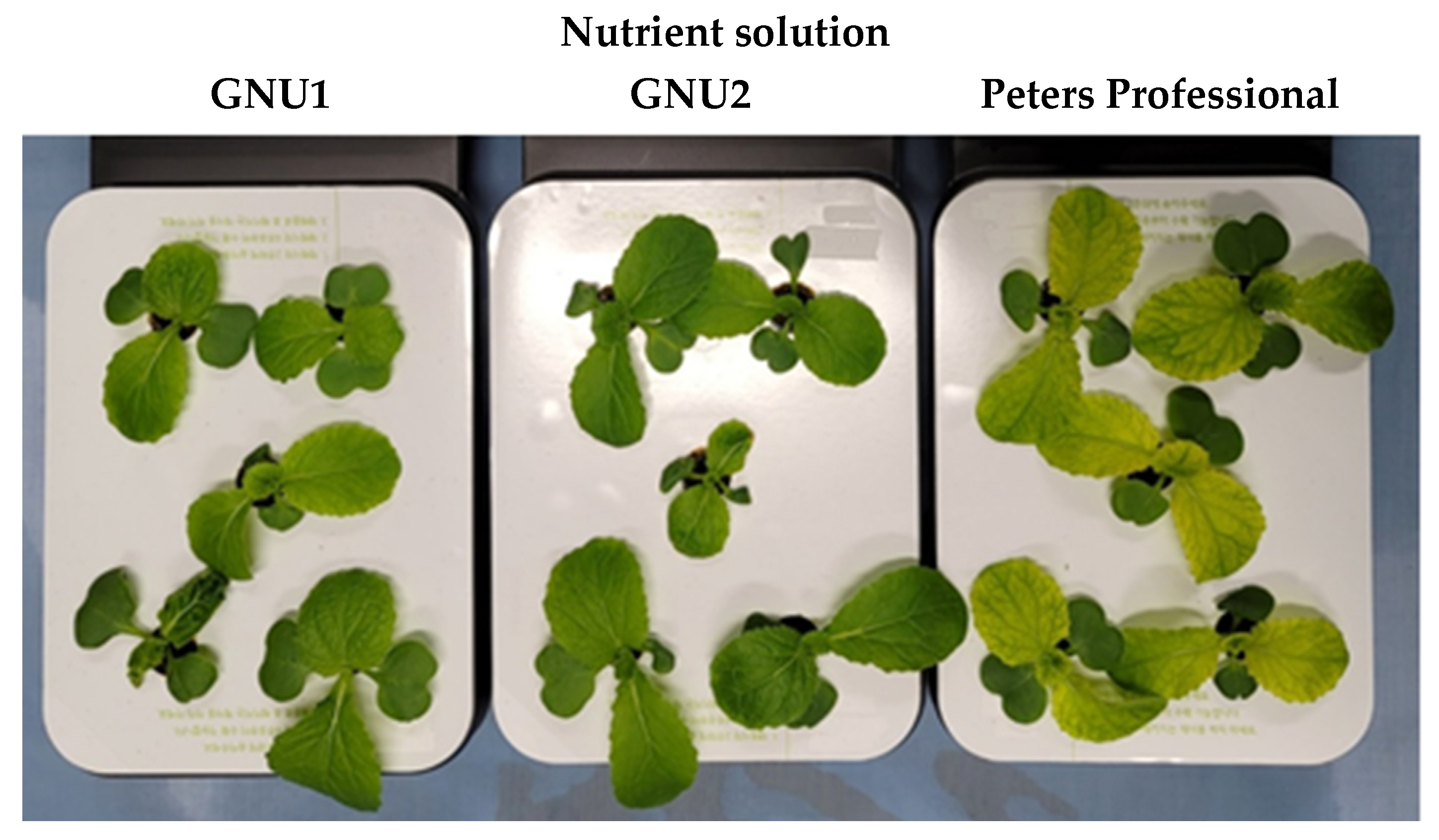 Plants 11 02882 g001