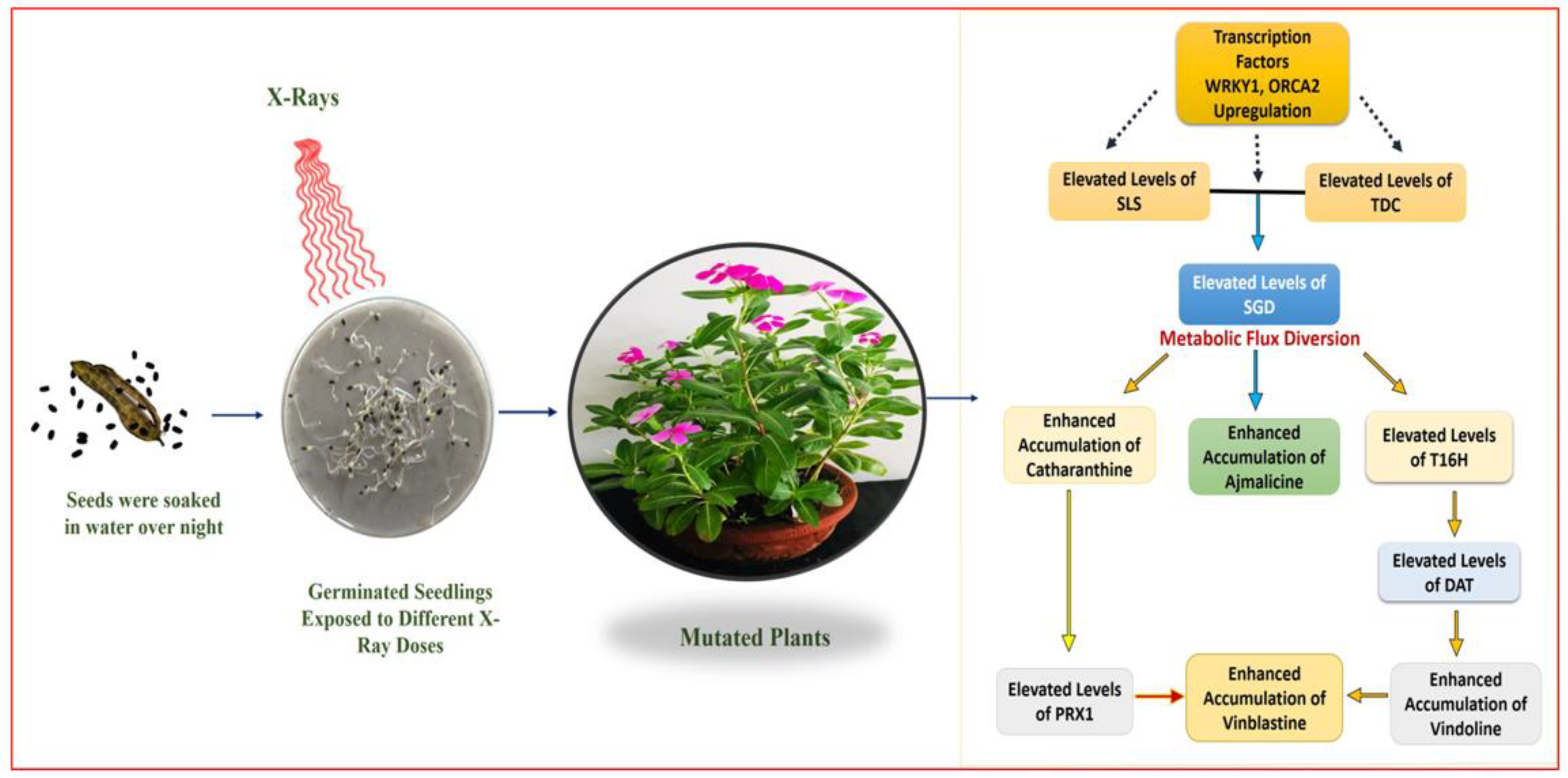 Plants 11 02885 g010