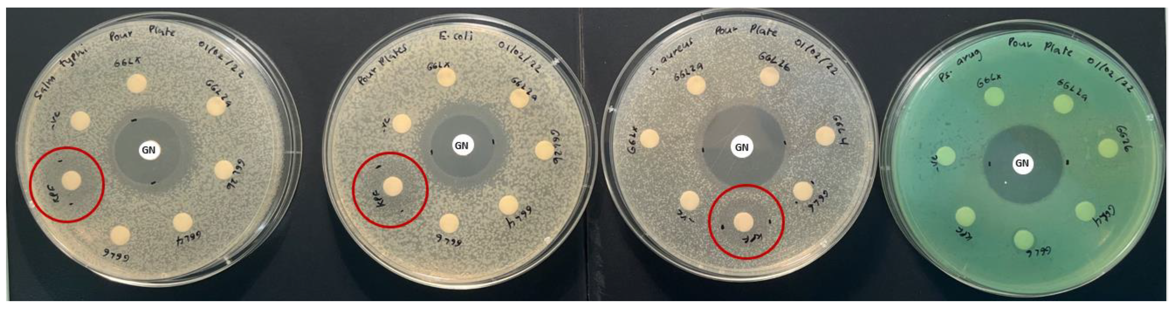 Plants 11 02886 g005