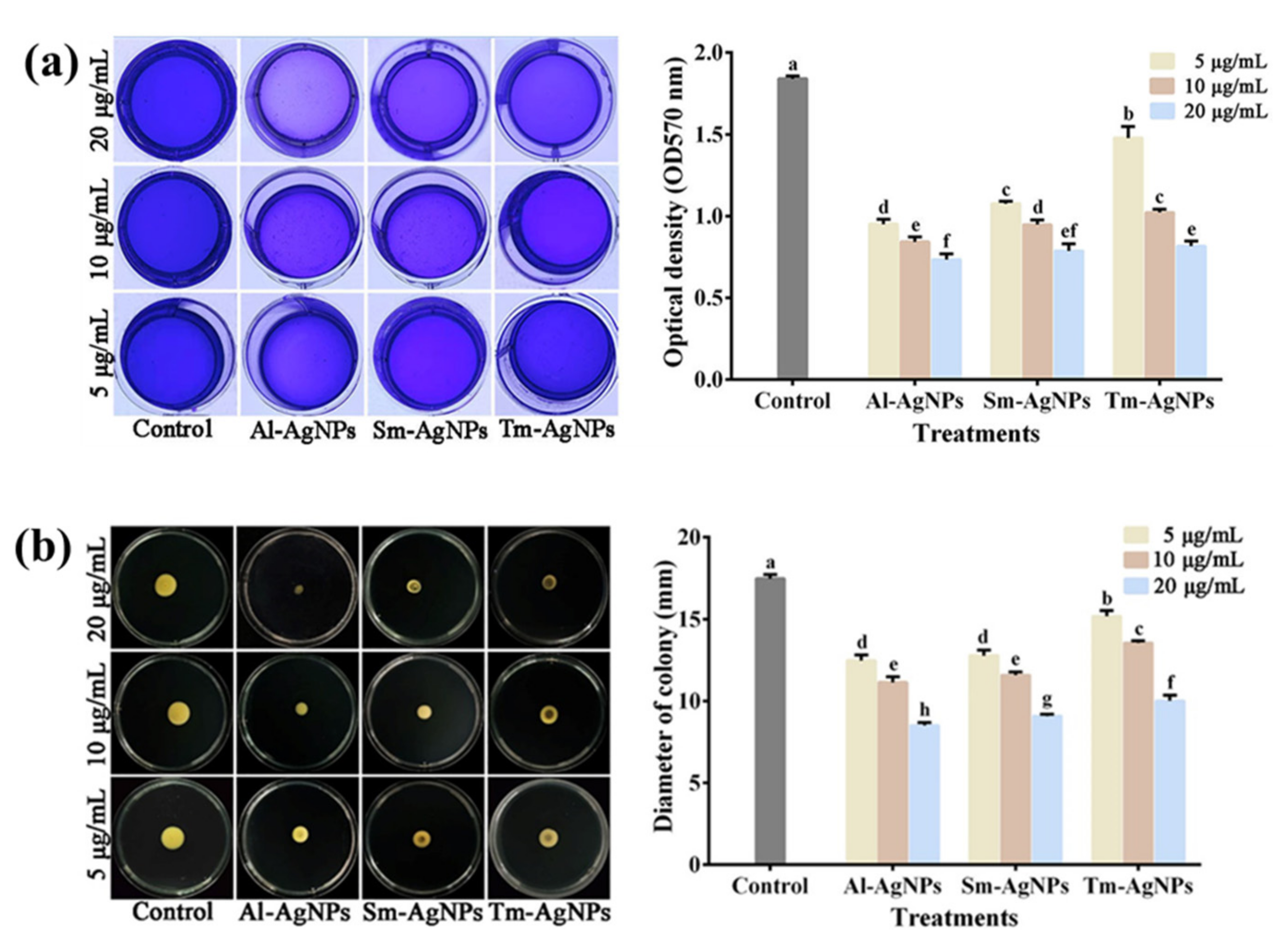 Plants 11 02892 g005