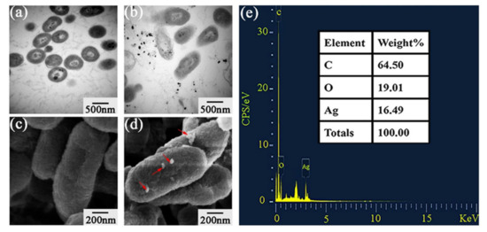 Bioinspired Green Synthesis of Silver Nanoparticles Using Three