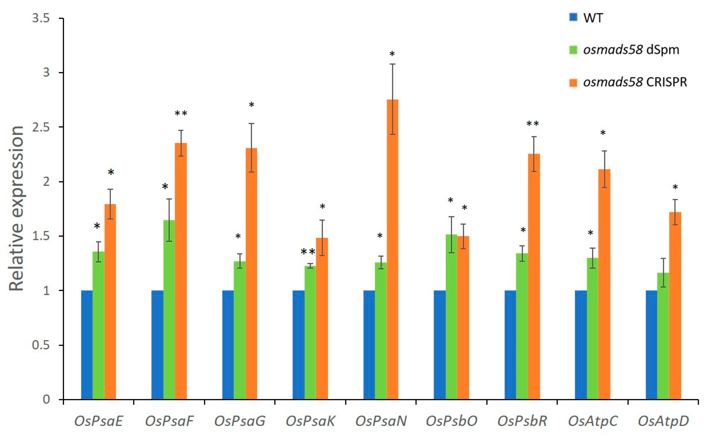 Plants 11 02899 g005
