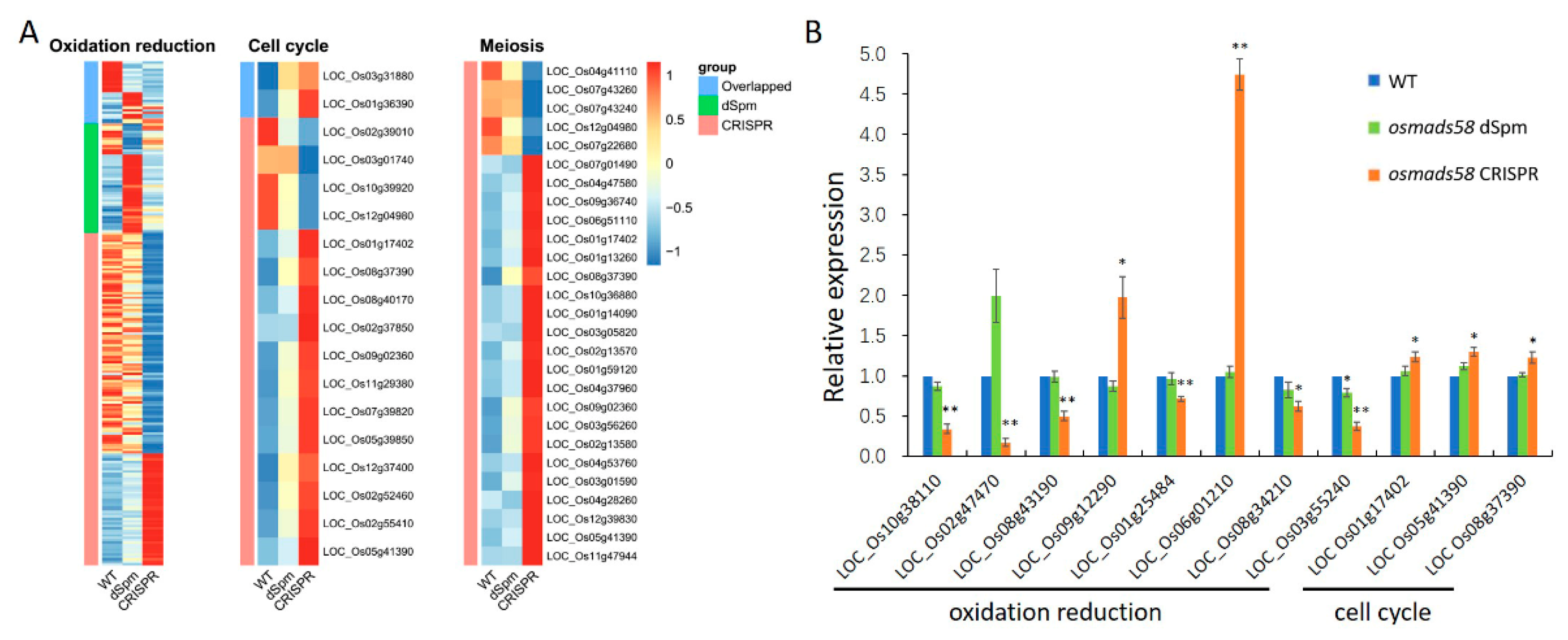Plants 11 02899 g007