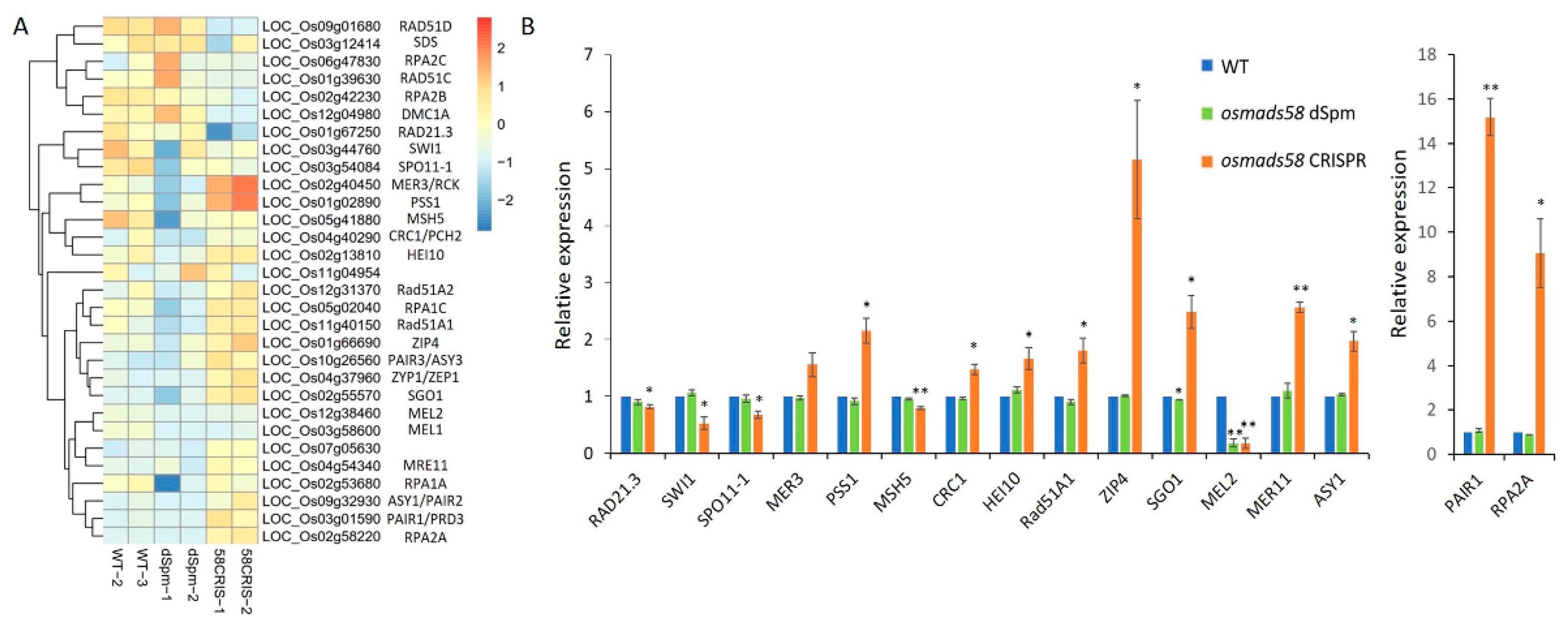 Plants 11 02899 g009