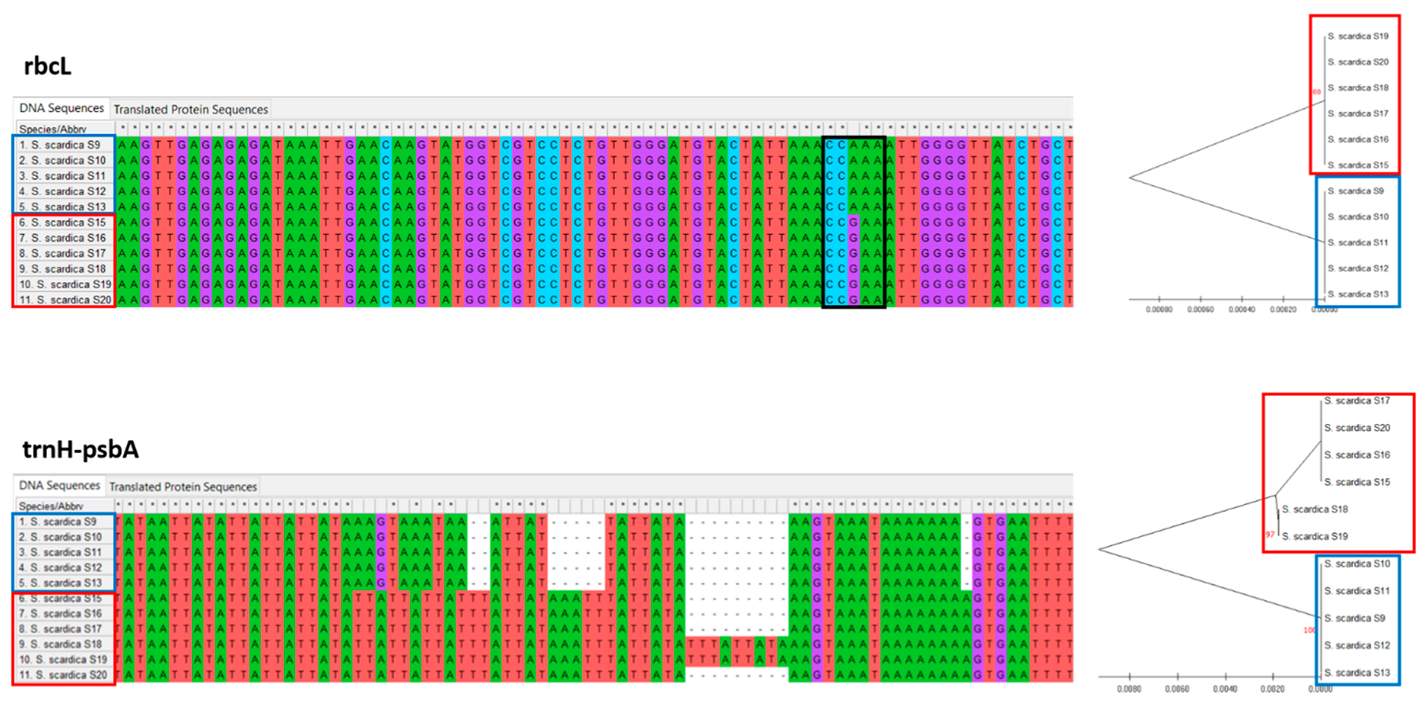 Plants 11 02900 g005 Plants 11 02900 g005