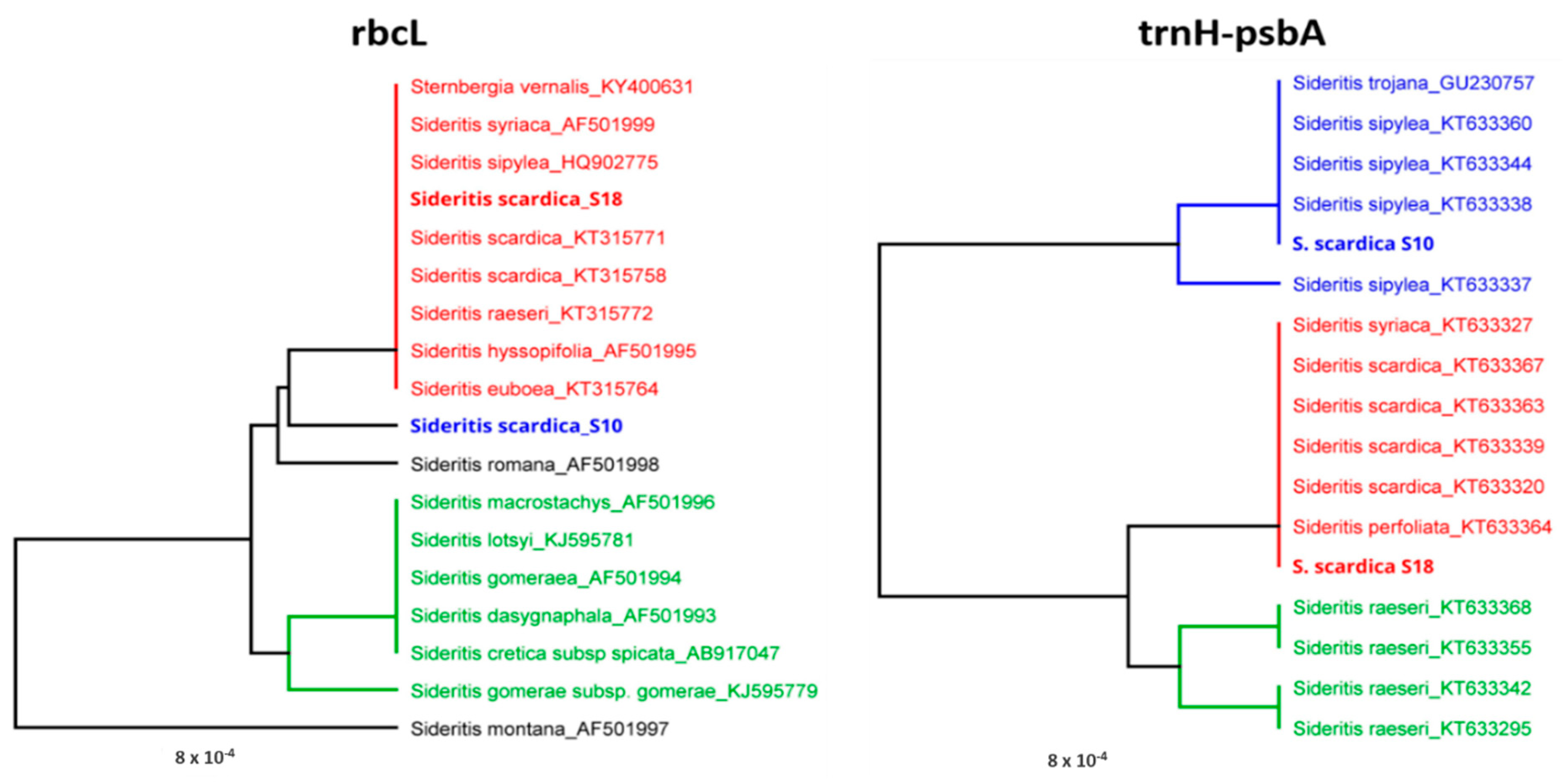 Plants 11 02900 g006 Plants 11 02900 g006