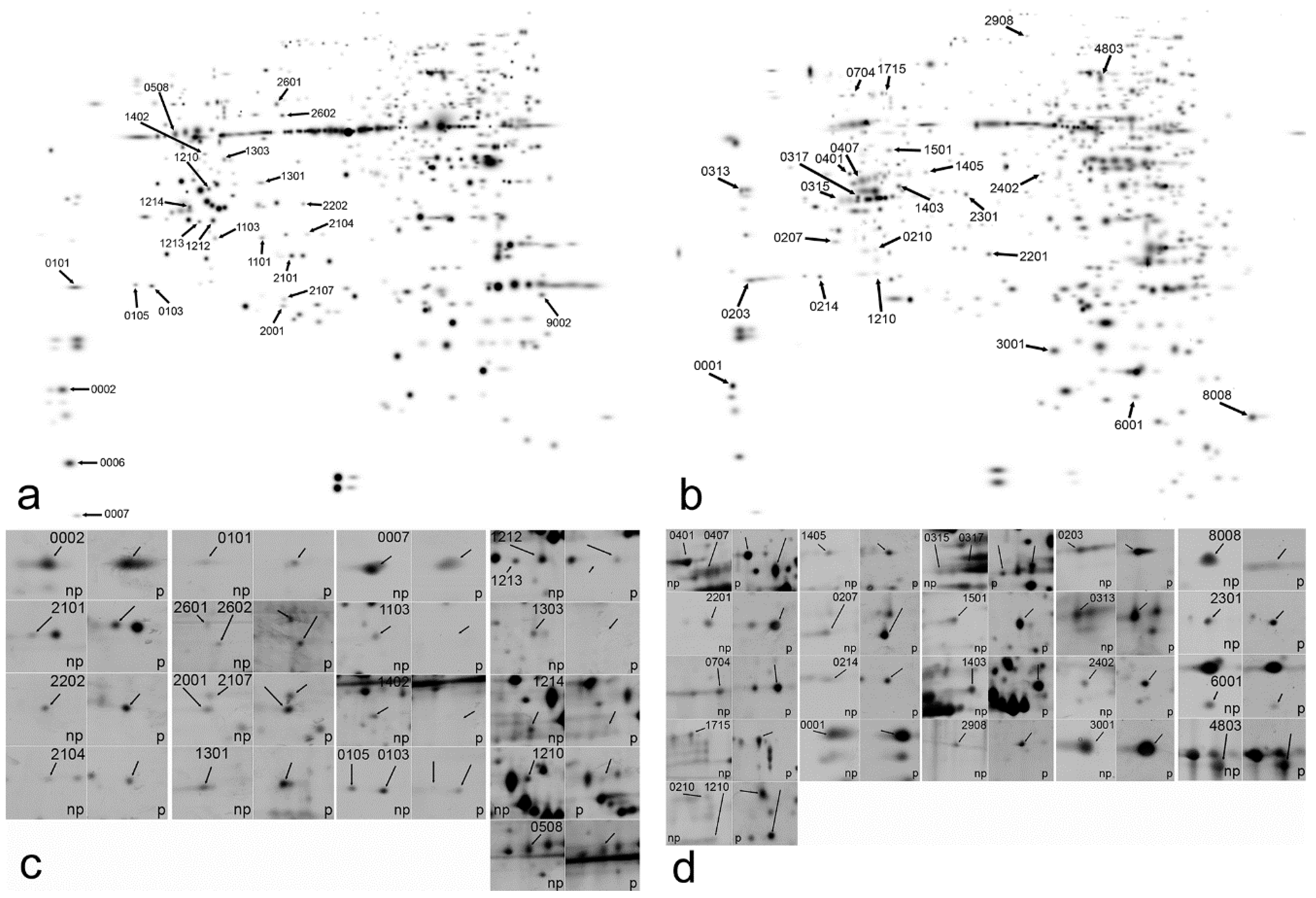Plants 11 02904 g002
