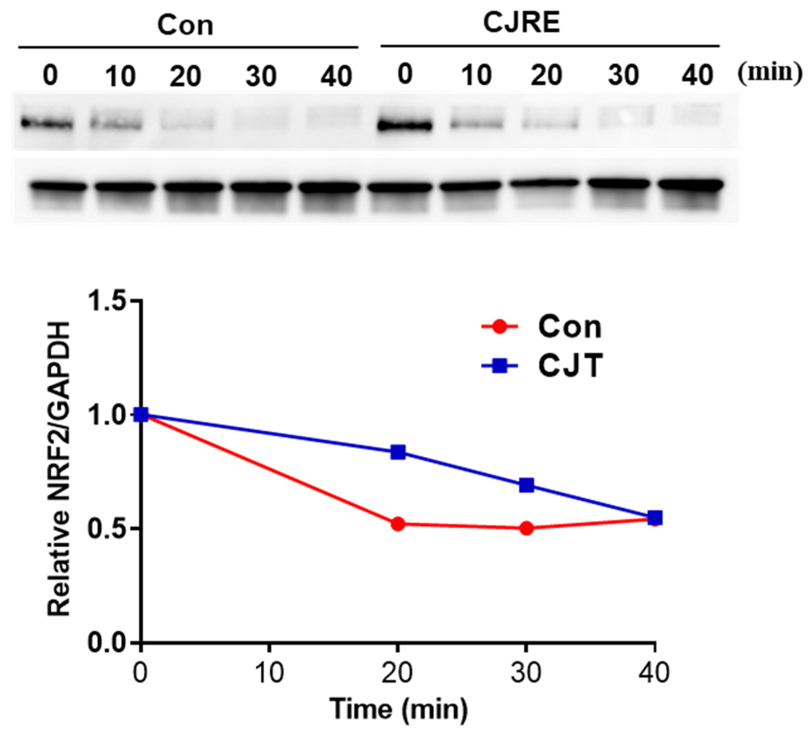 Plants 11 02914 g004