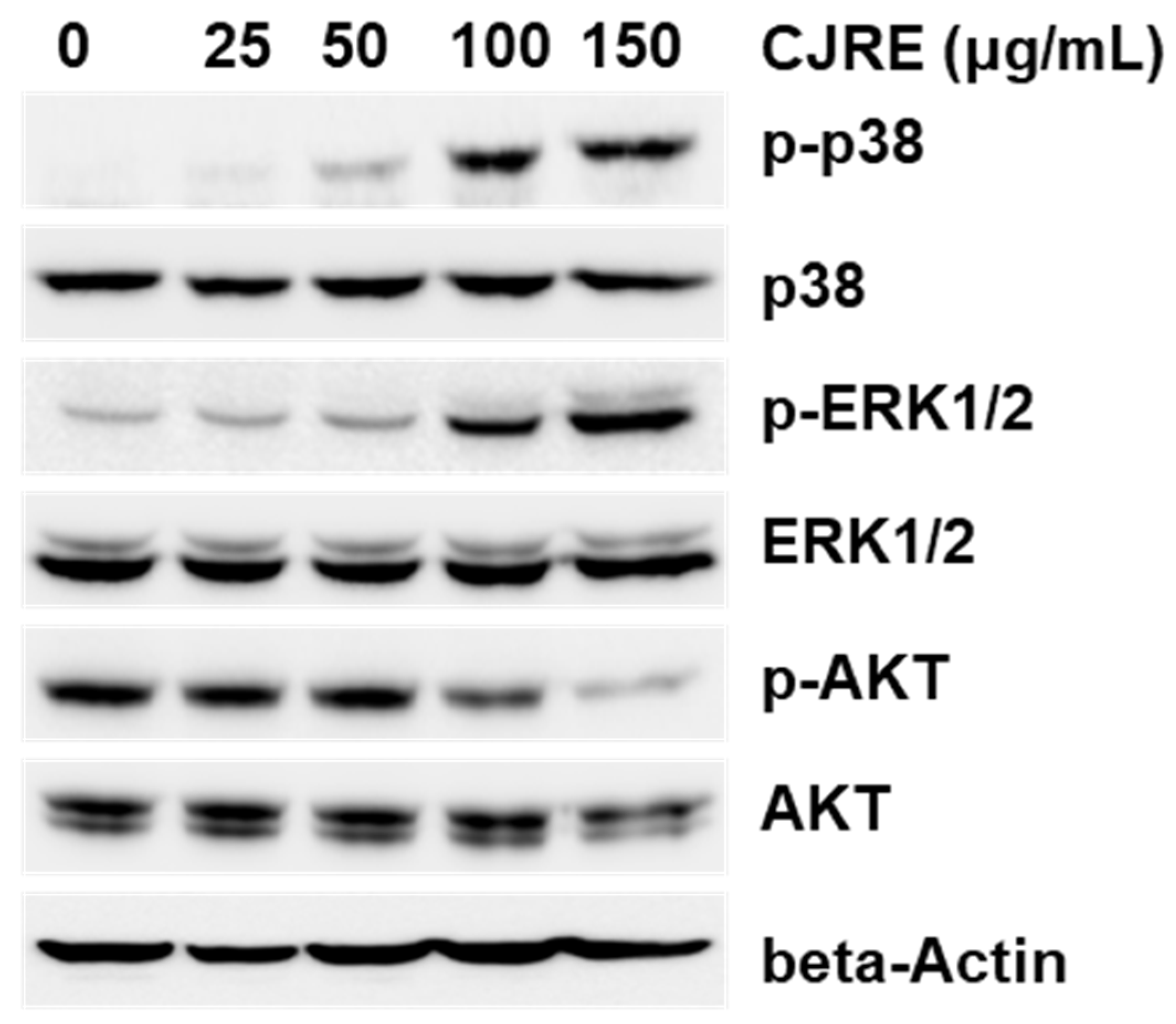 Plants 11 02914 g005