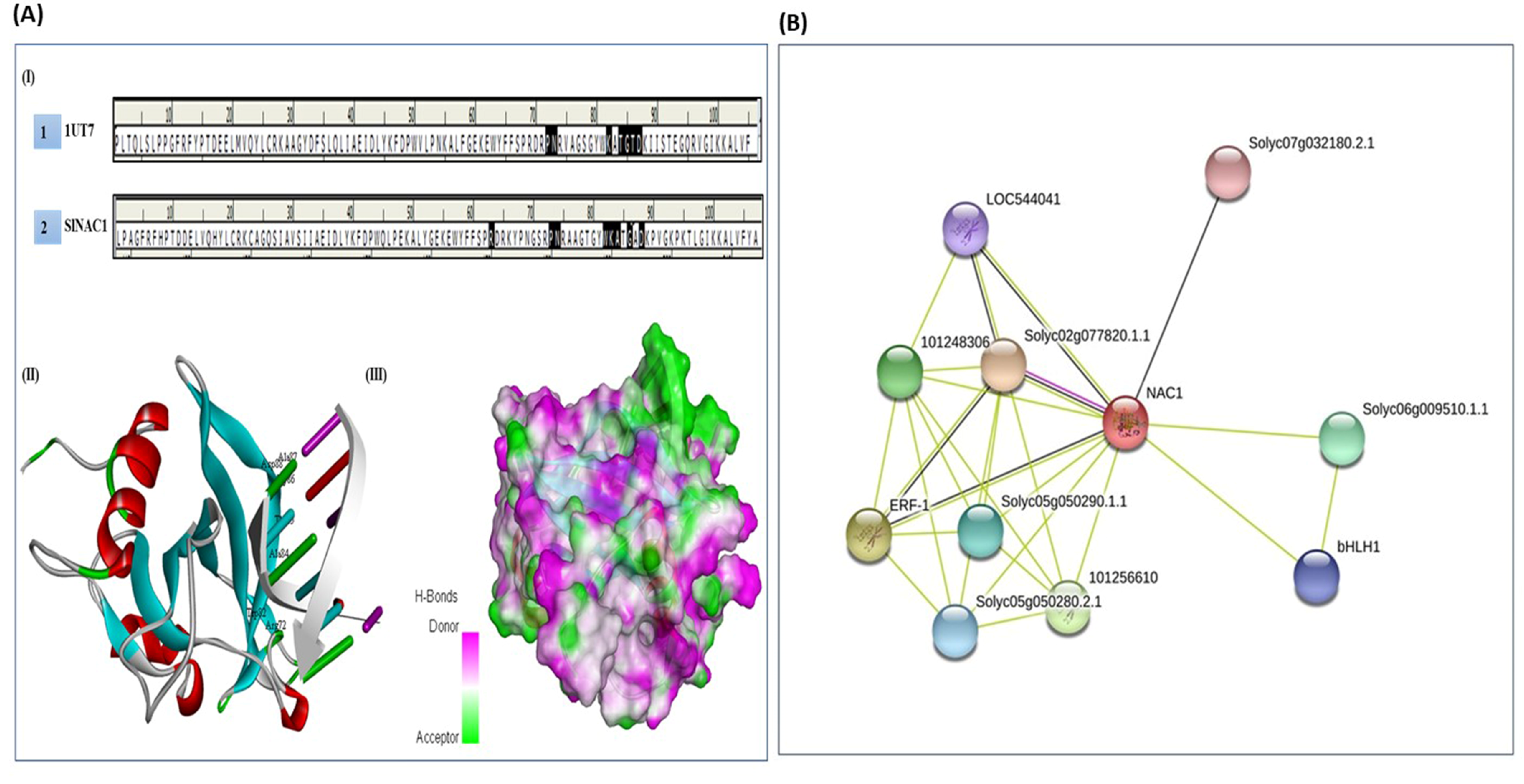 Plants 11 02930 g005