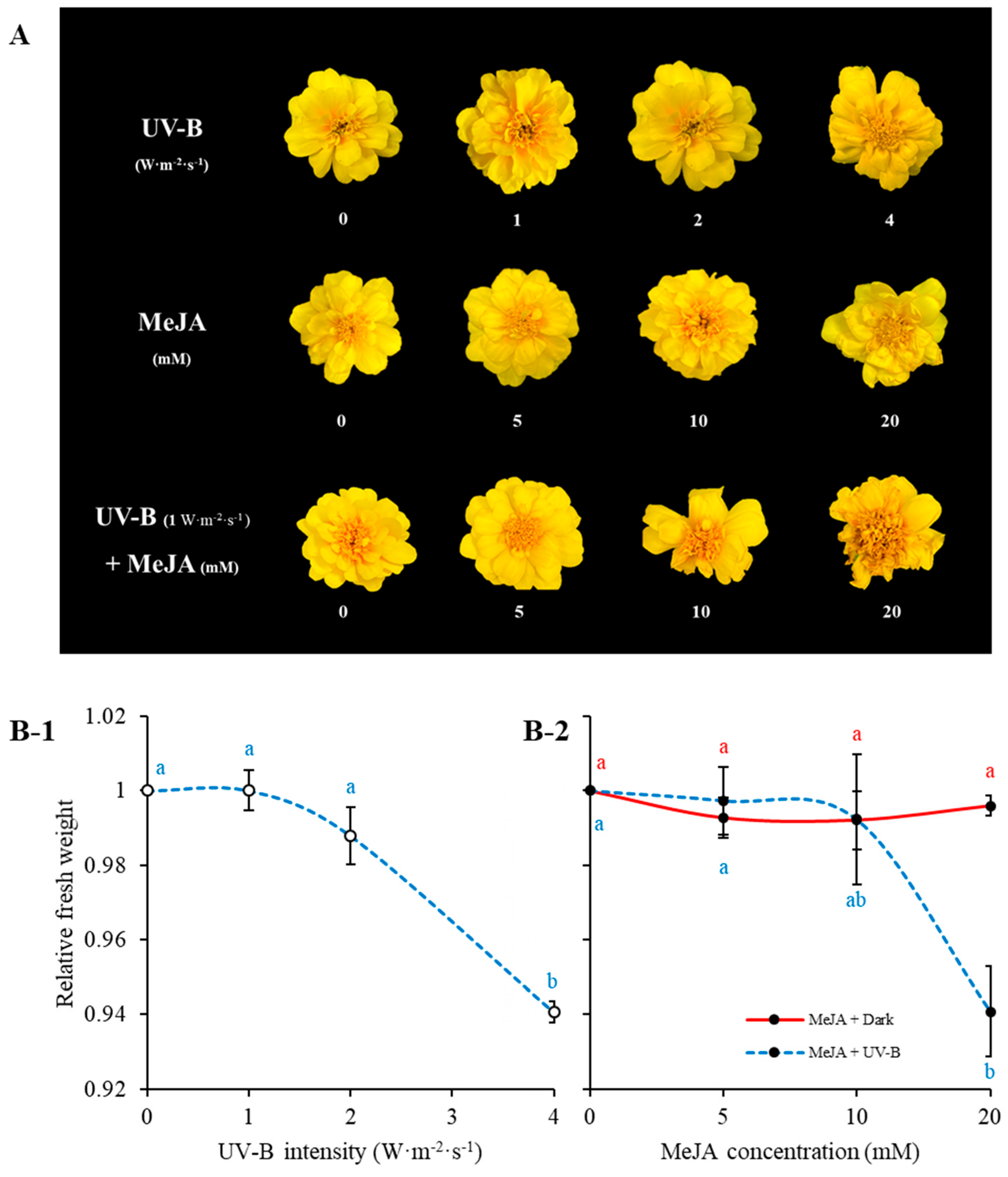 Plants 11 02947 g001 Plants 11 02947 g001