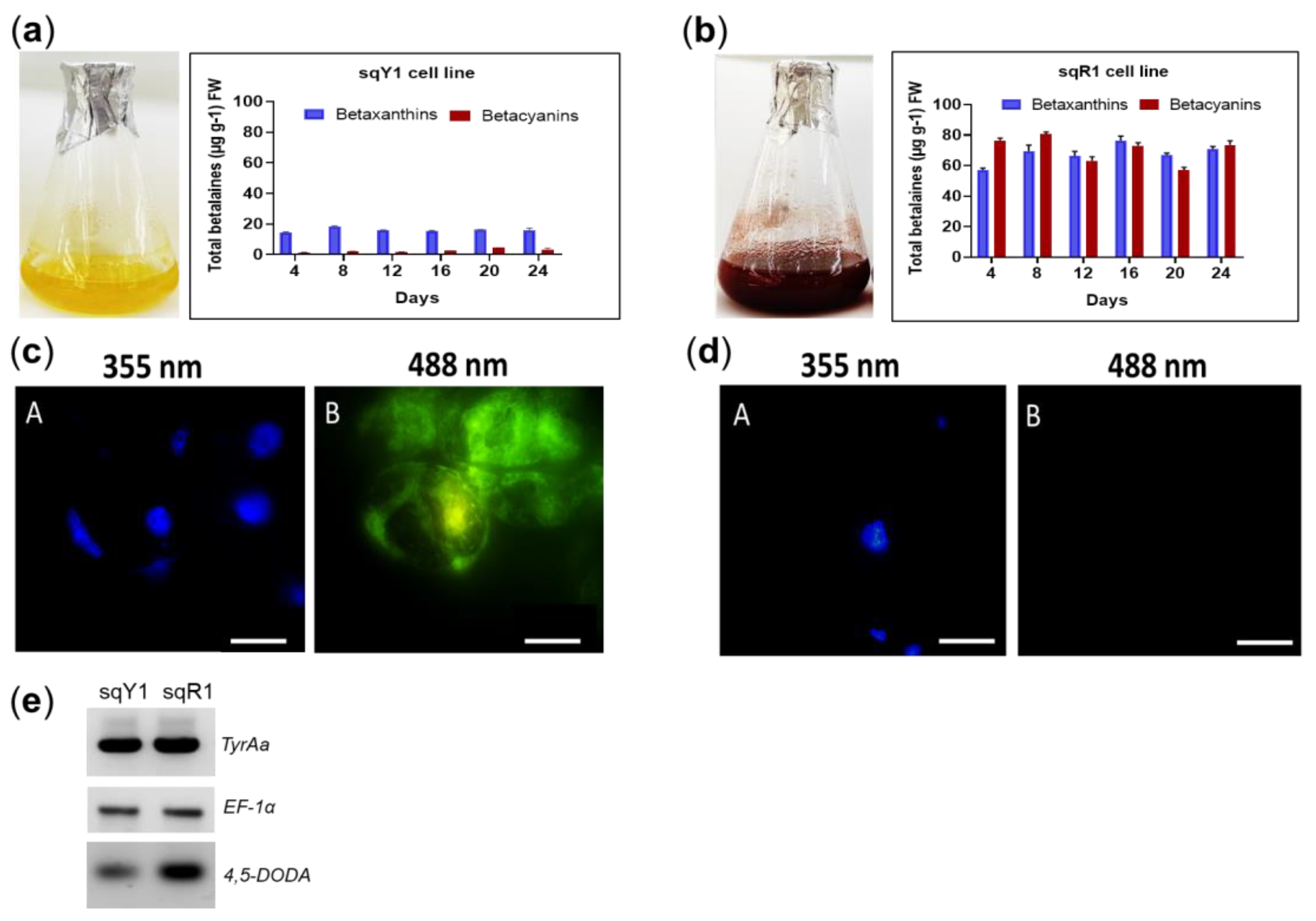 Plants 11 02948 g001