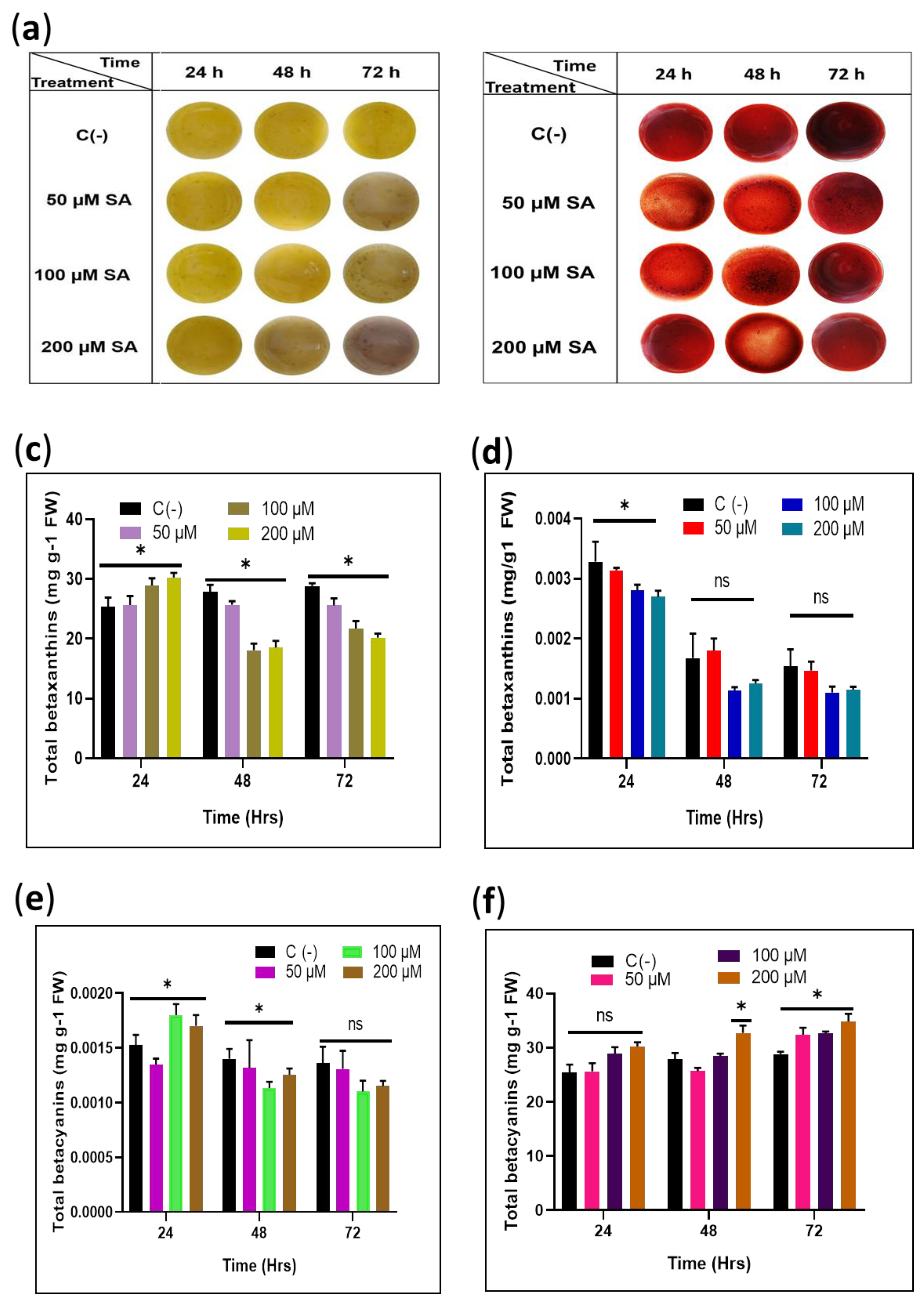 Plants 11 02948 g002