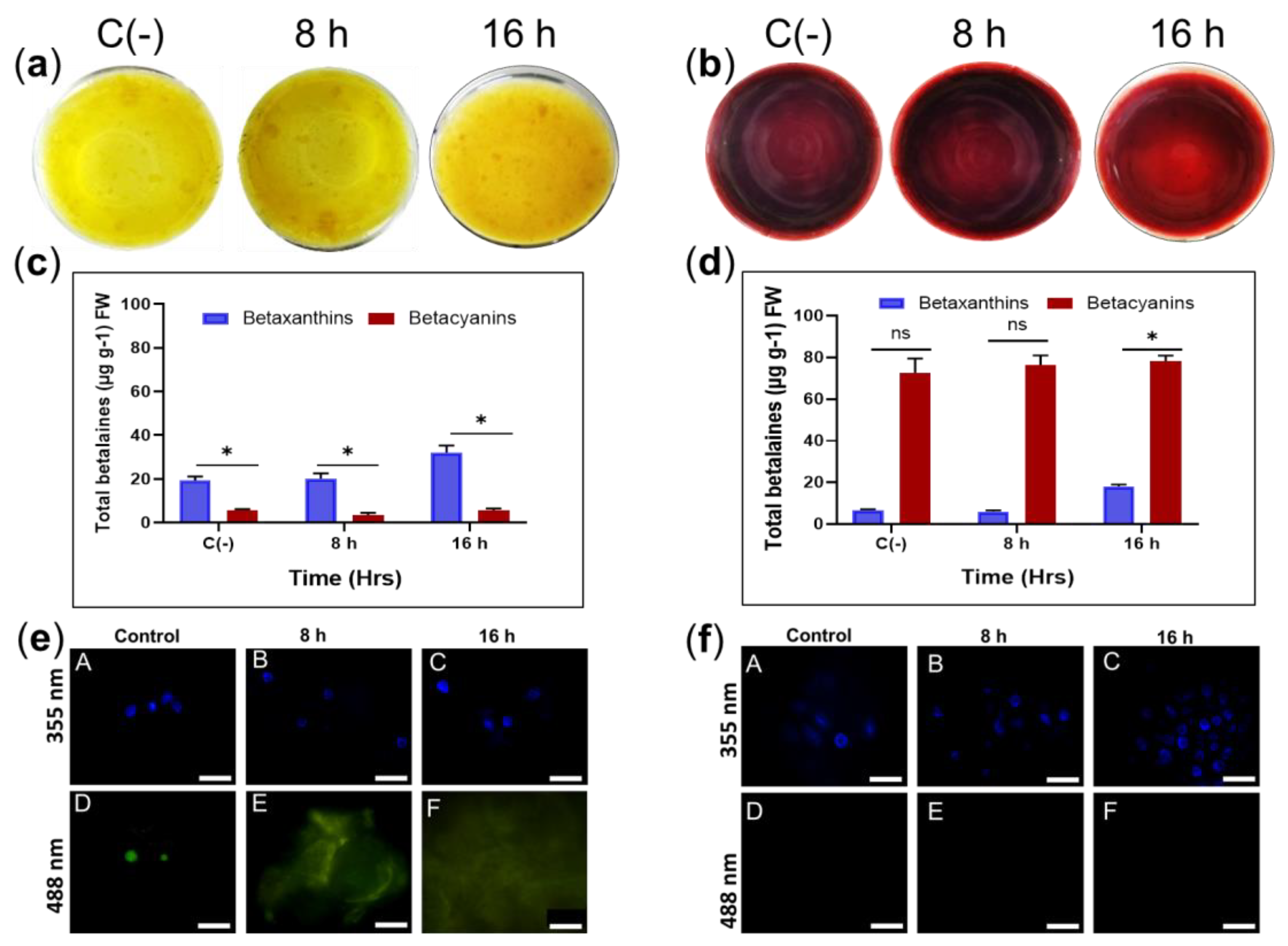 Plants 11 02948 g006