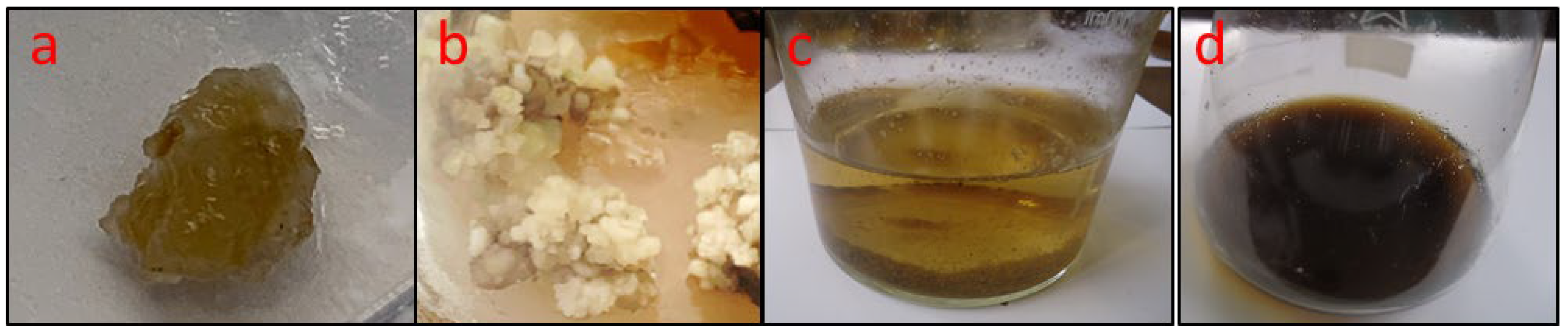 Plants 11 02949 g001 Plants 11 02949 g001